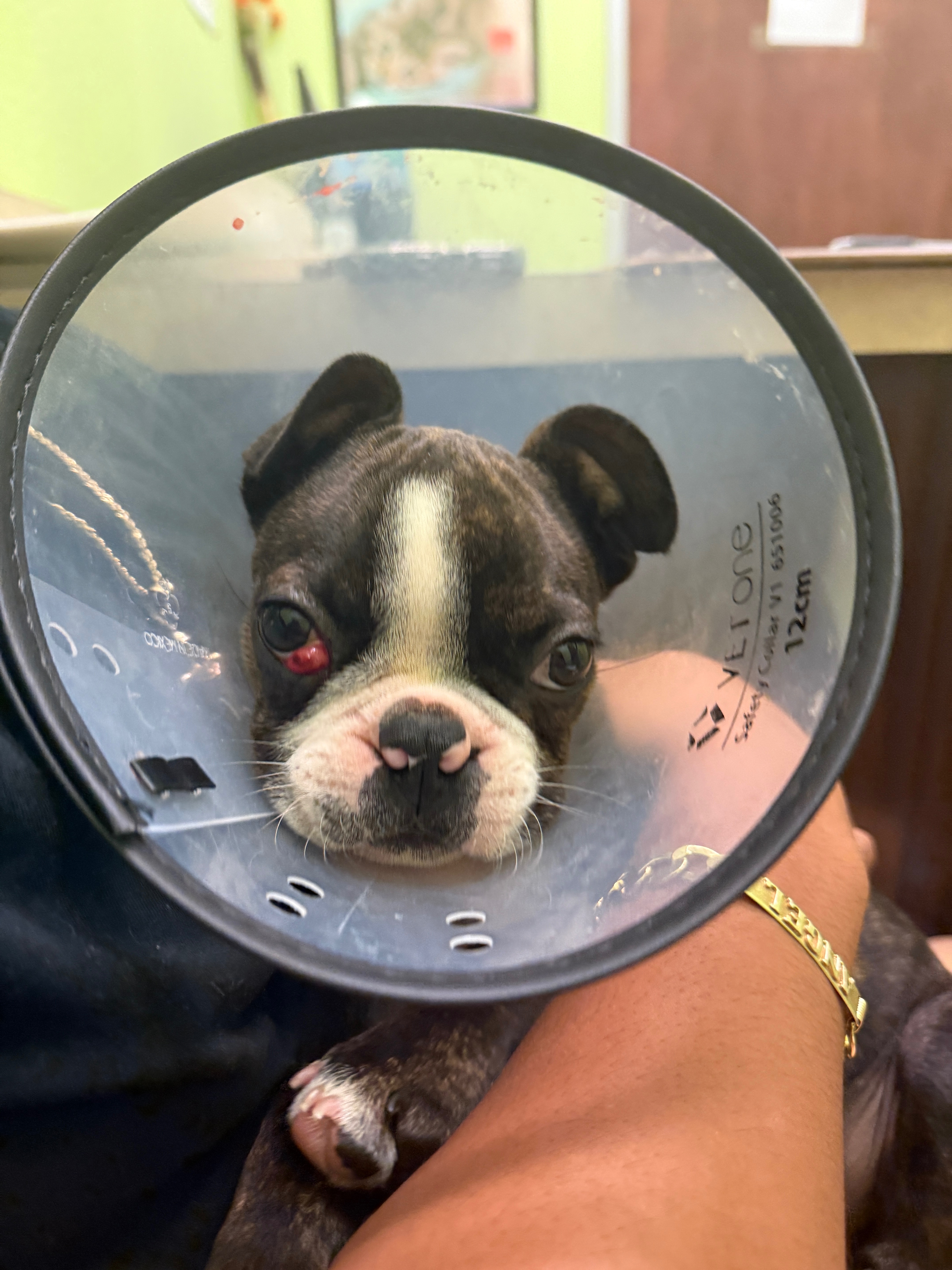 User-uploaded image 1