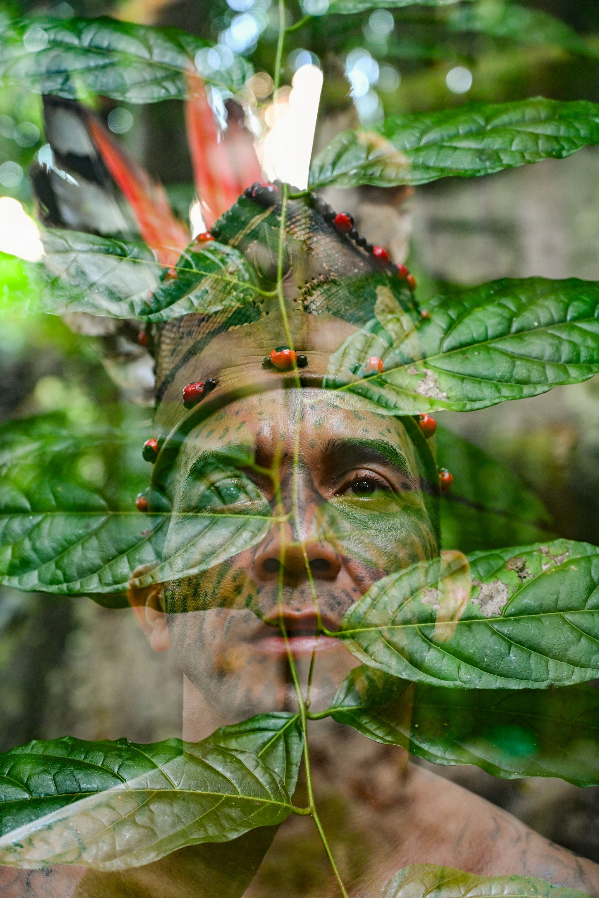 User-uploaded image 1