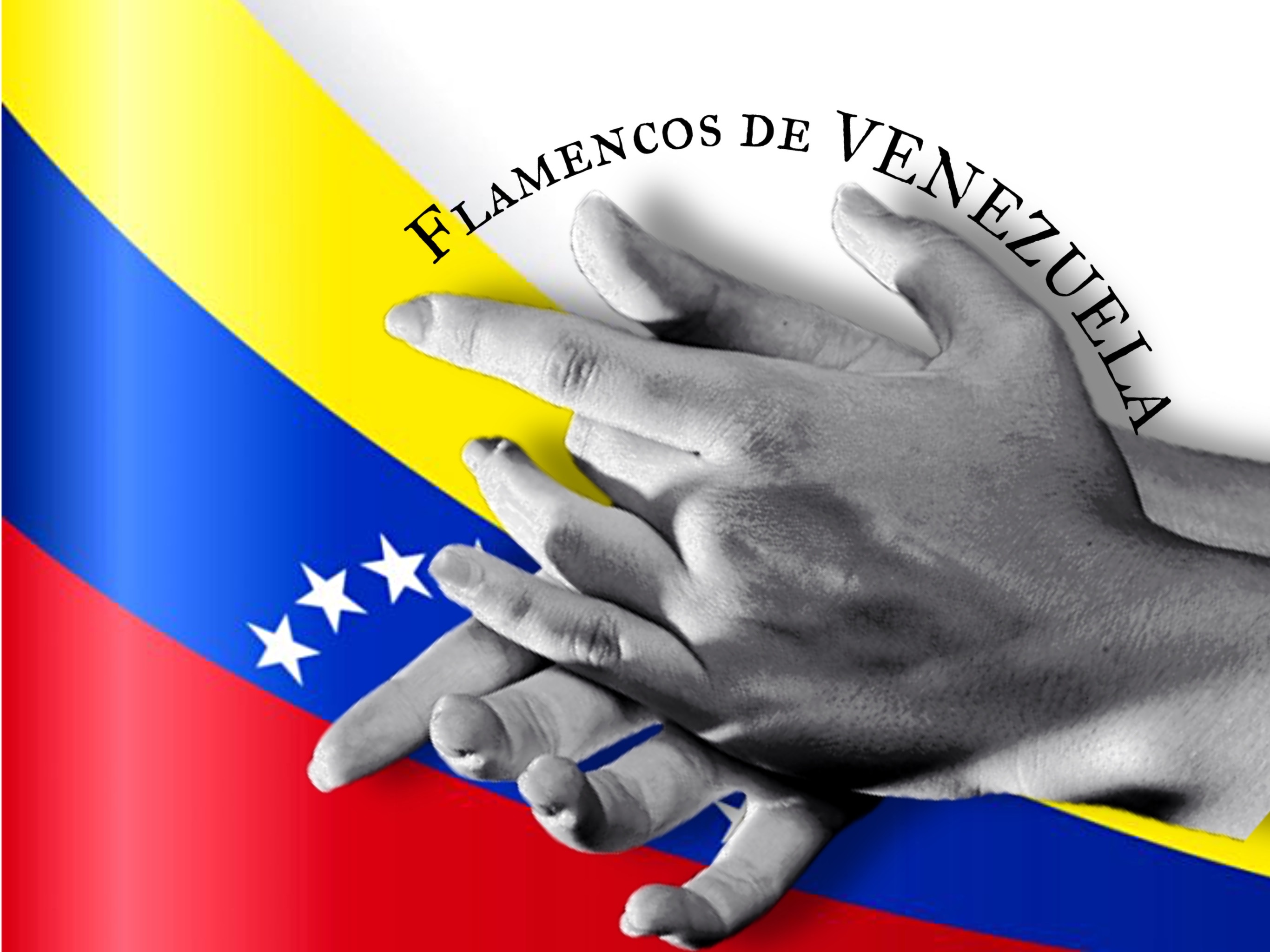 Let's support Flamencos de Venezuela campaign photo, 4 of 4