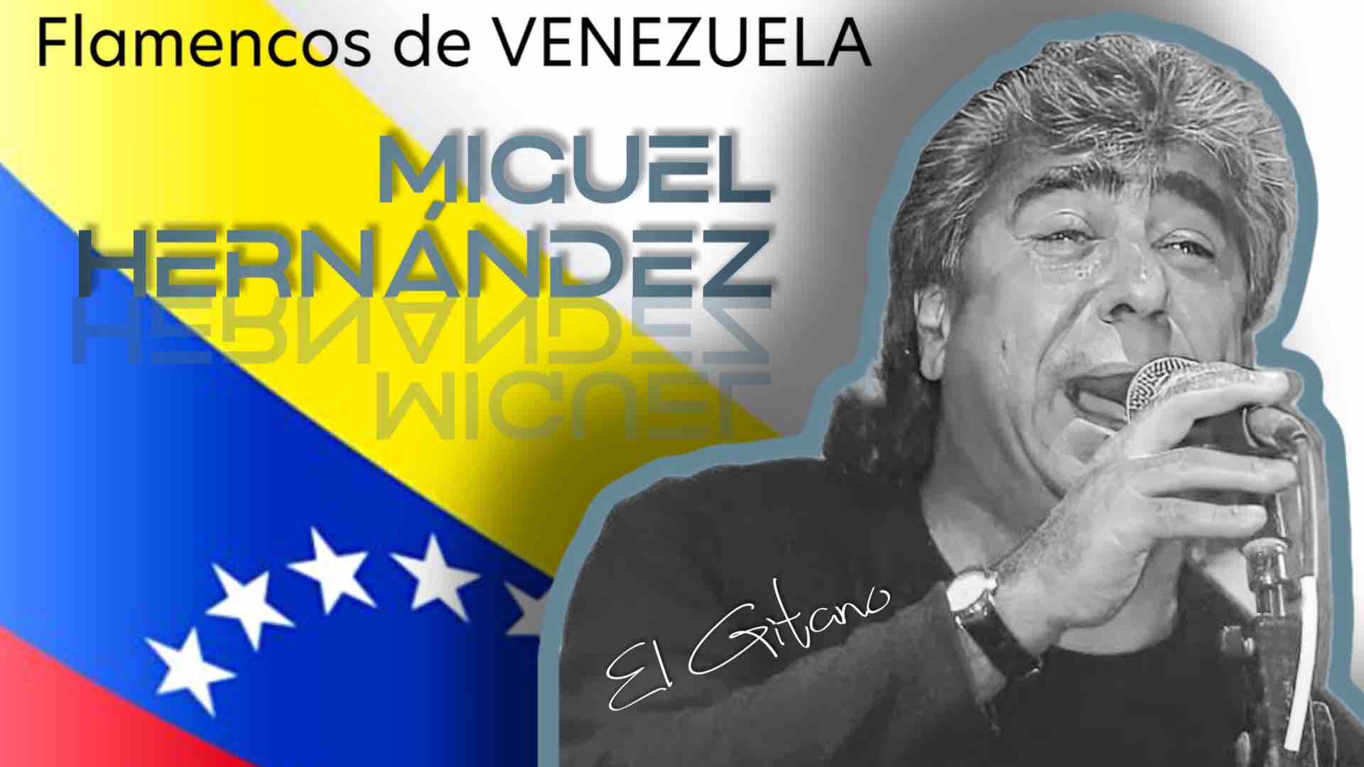 Let's support Flamencos de Venezuela campaign photo, 2 of 4