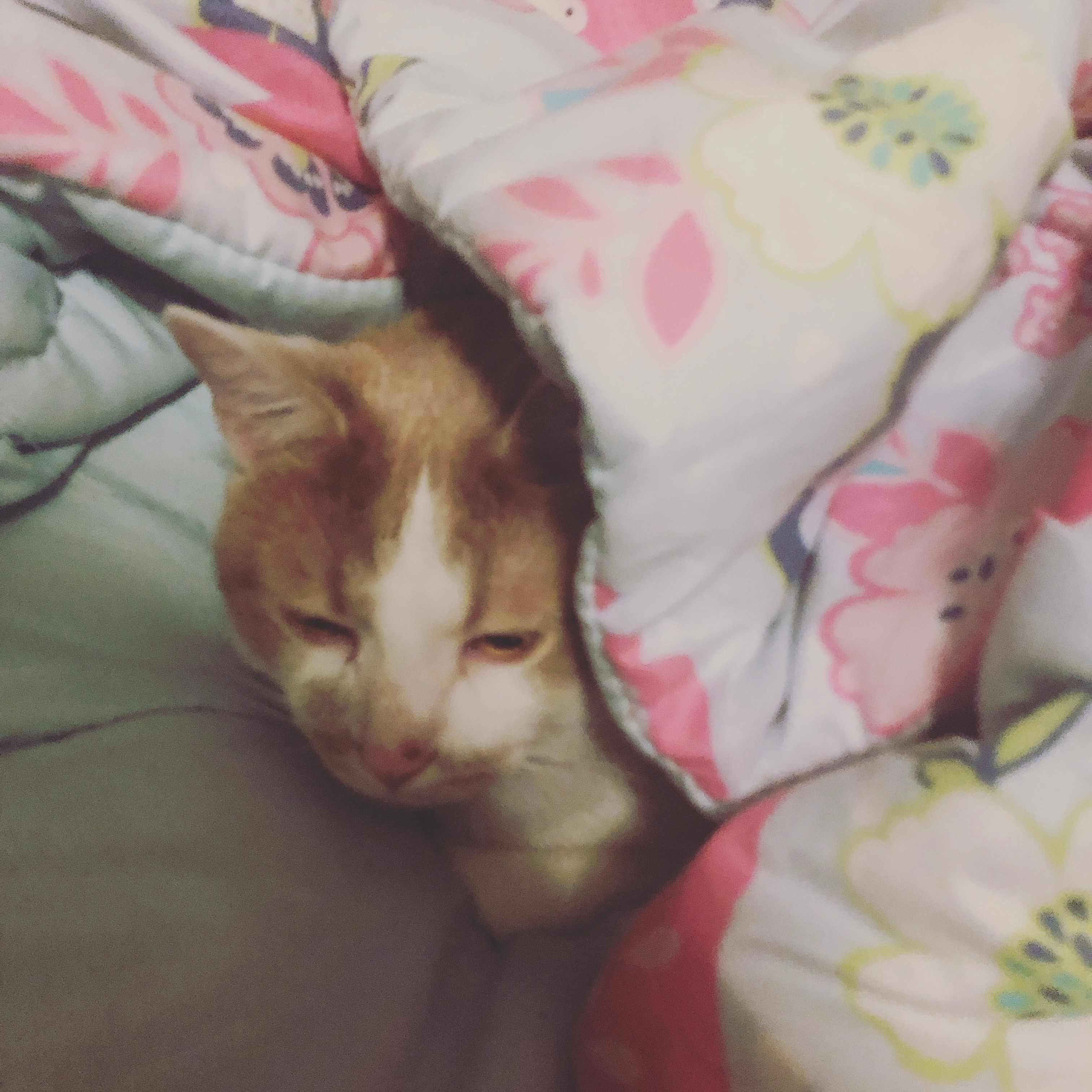 User-uploaded image 1