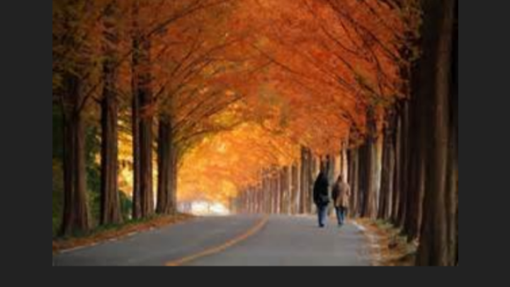 Redwoods for Oxygen... Preparing for our Lord's return