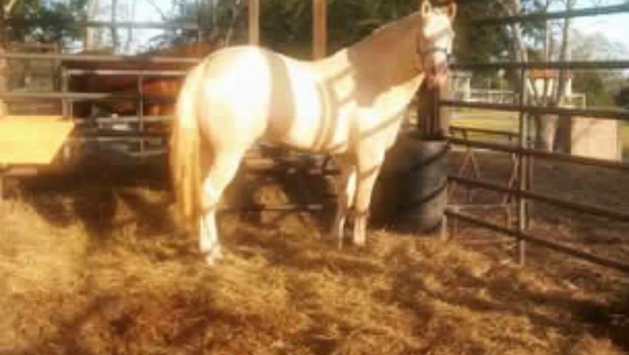 Barn fire Ranch needs help rebuilding photo