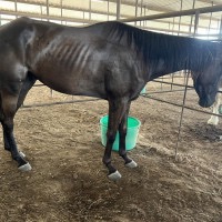 Barn fire Ranch needs help rebuilding campaign photo, 5 of 8