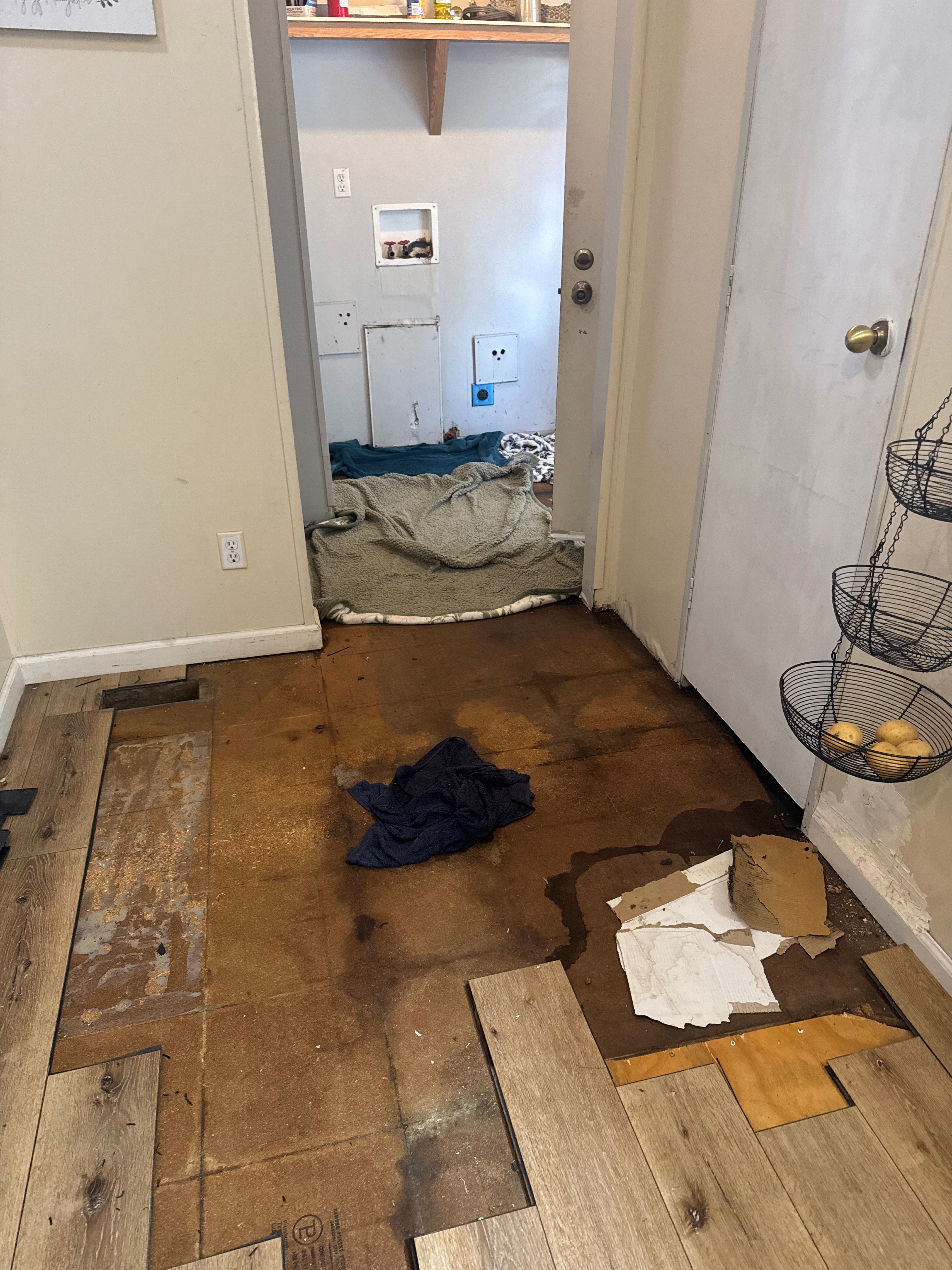 User-uploaded image 1