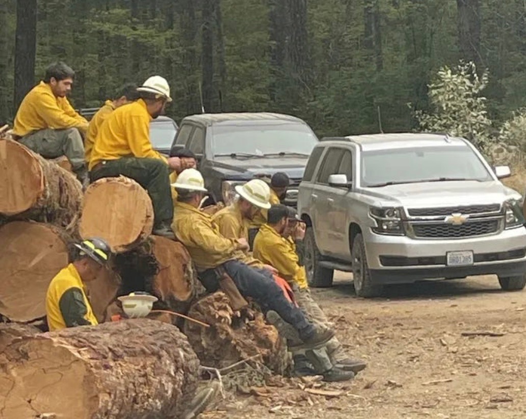 User-uploaded image 1