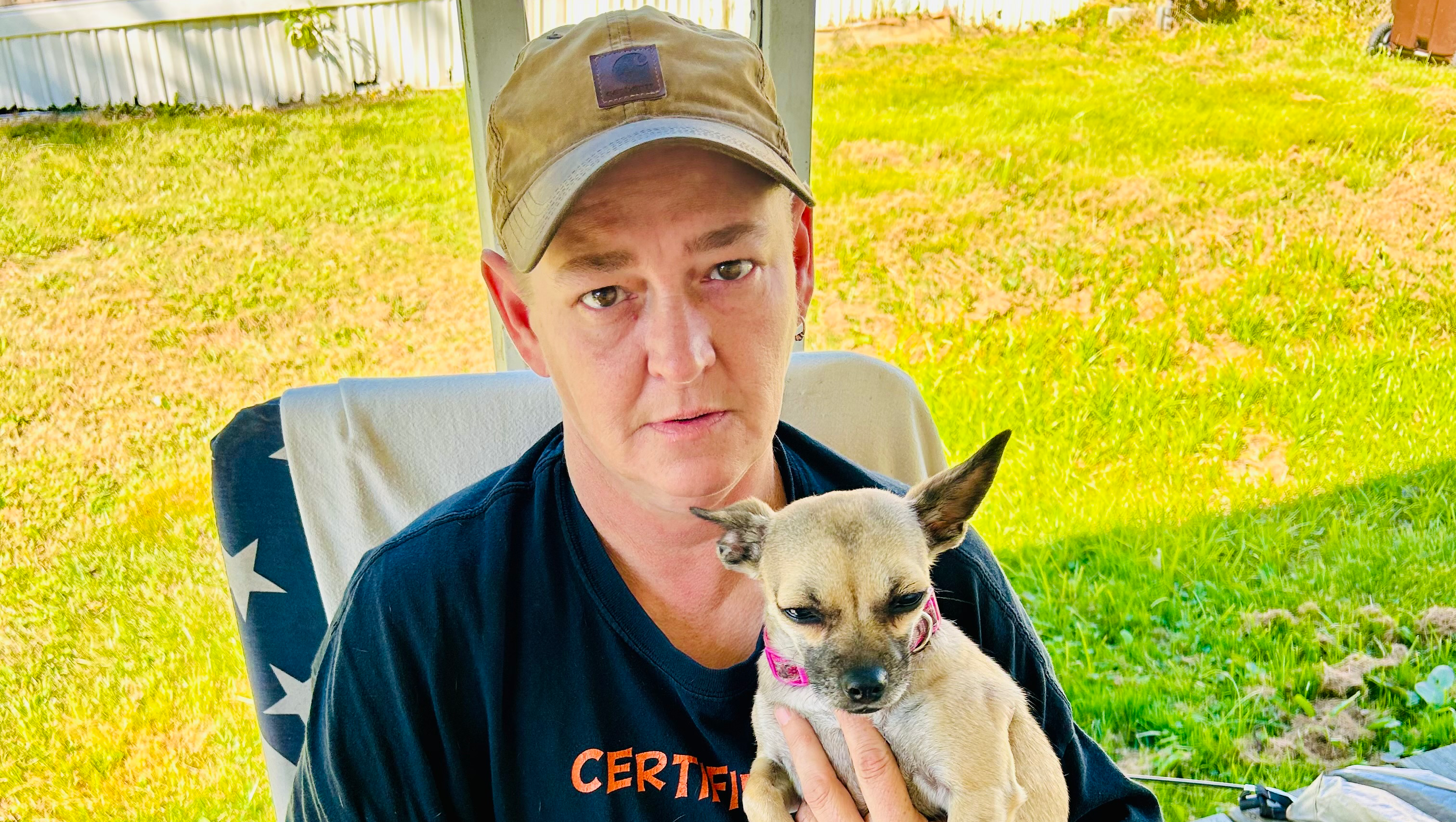 Imagen de la recaudación de fondos