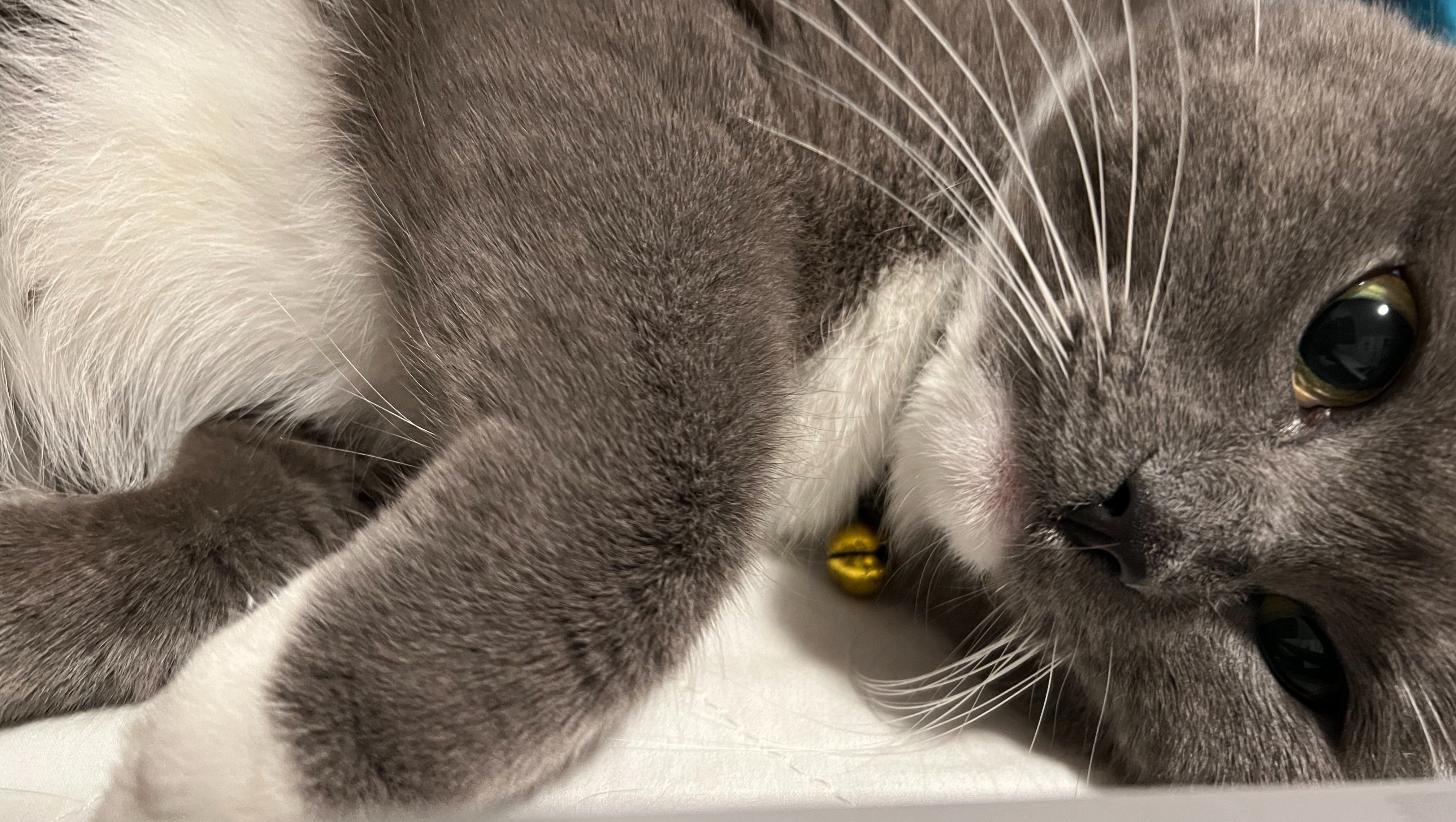 Please Help Aiyansh: The Care For My Sweet Girl photo