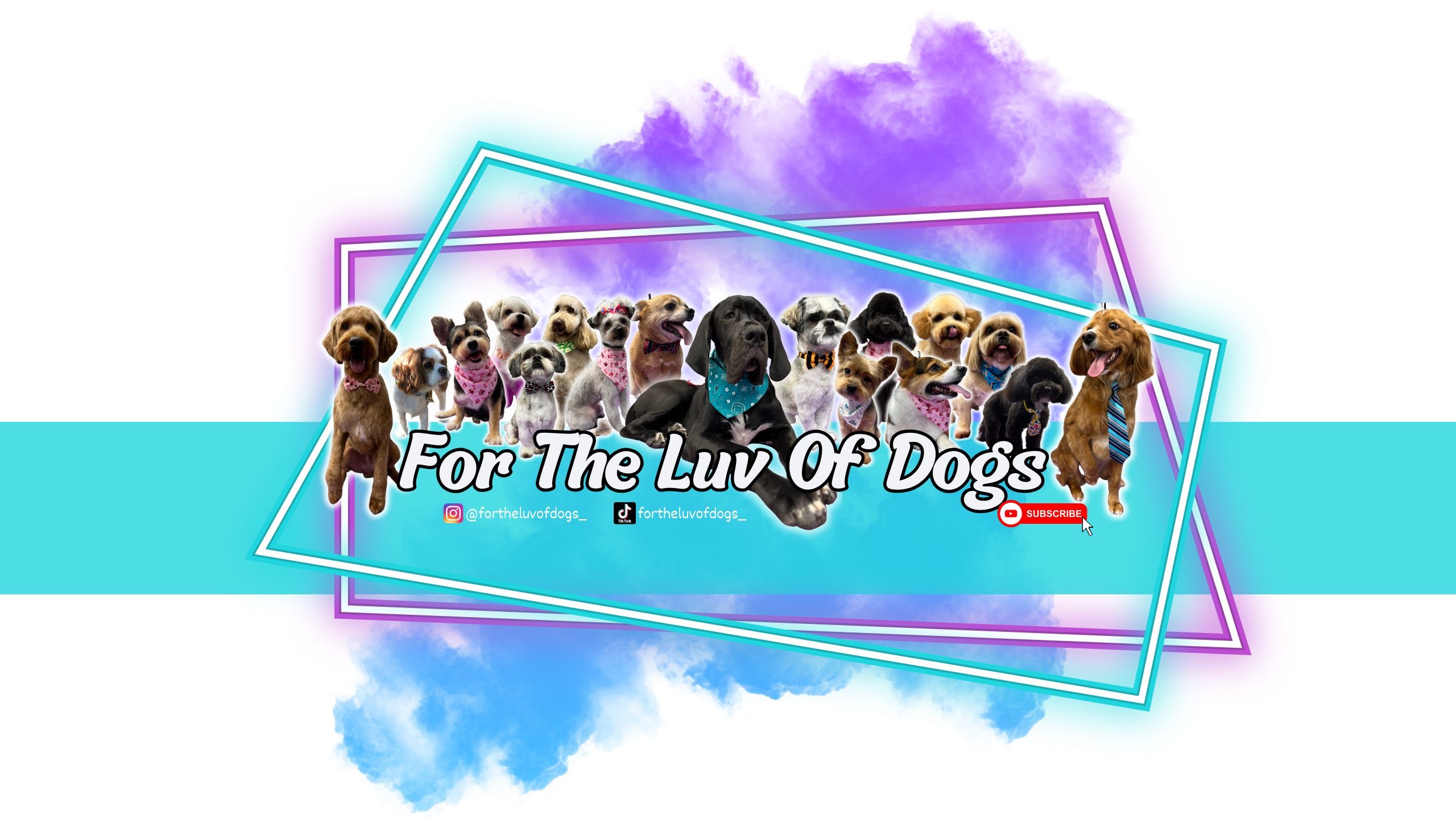 Kampagnen-Foto für For The Luv Of Dogs Goes Mobile, 6 von 8