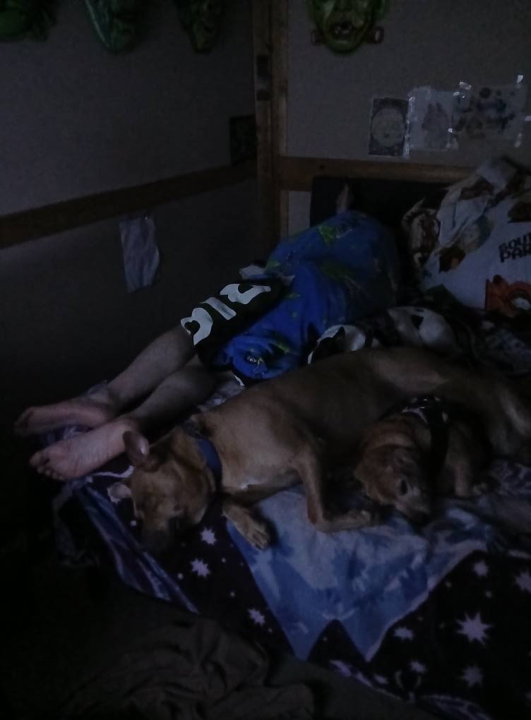 Legal Defense Fund, Help Rescue Dogs & Cats, Job Stress campaign photo, 2 of 8