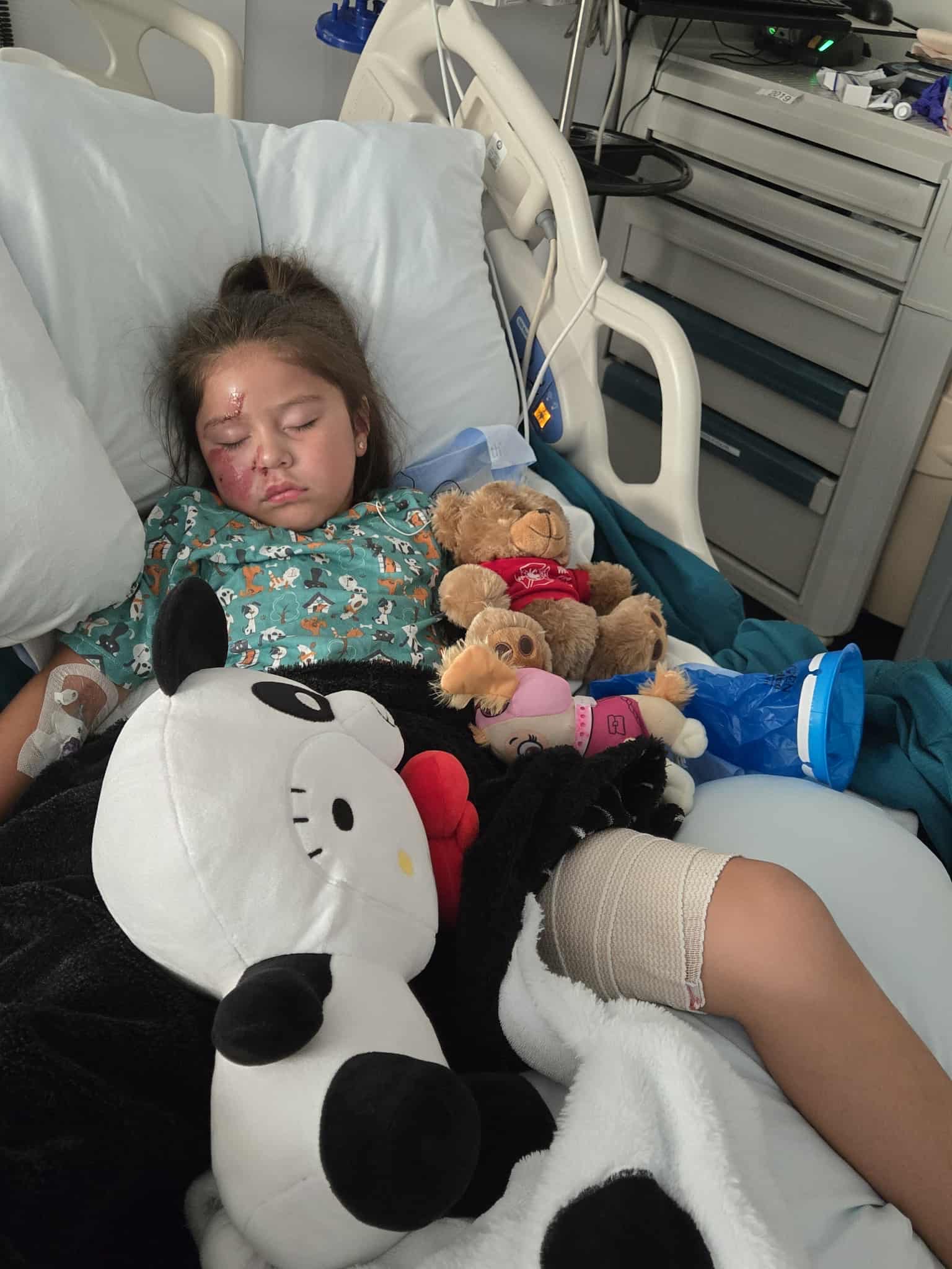 User-uploaded image 1