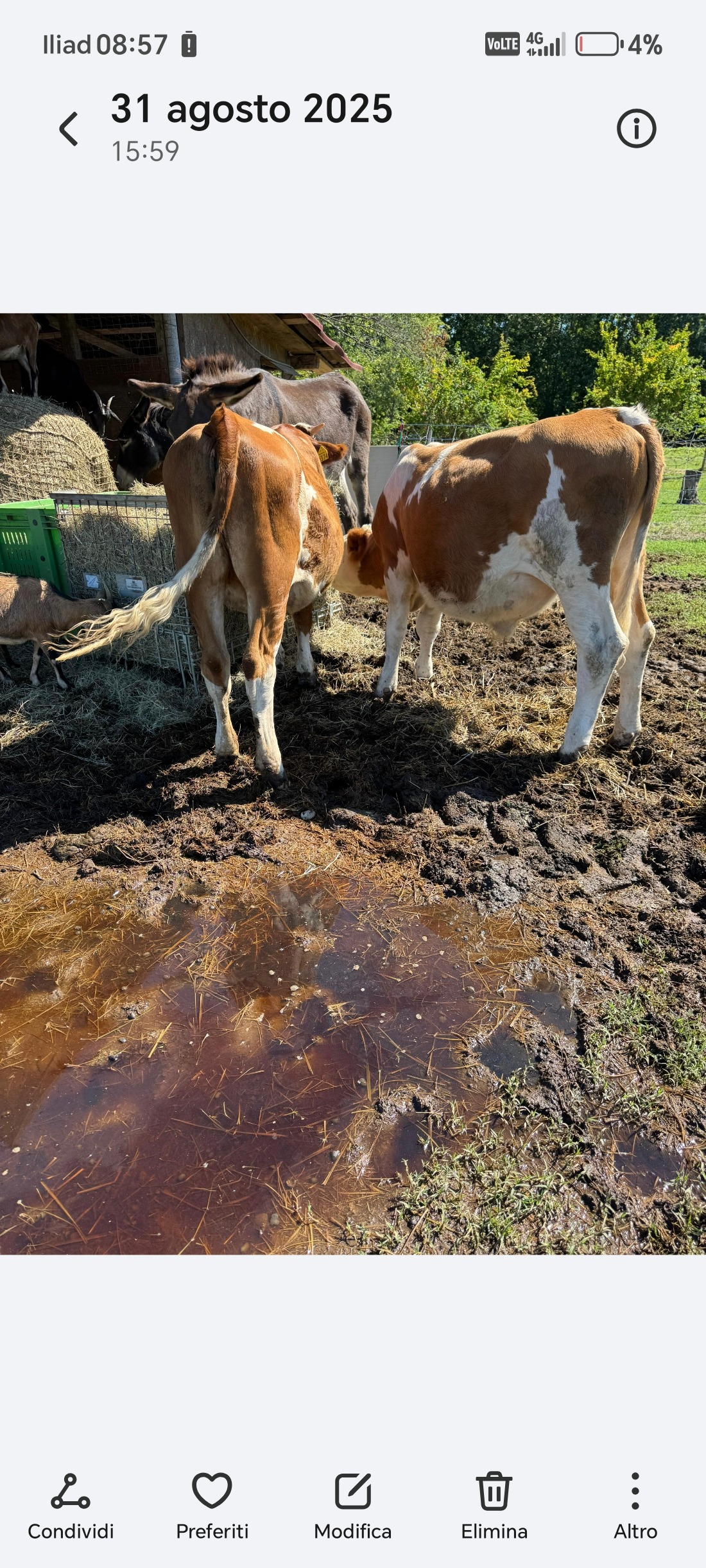 Foto della campagna Insieme per un terreno asciutto e sicuro per gli animali, 4 di 5