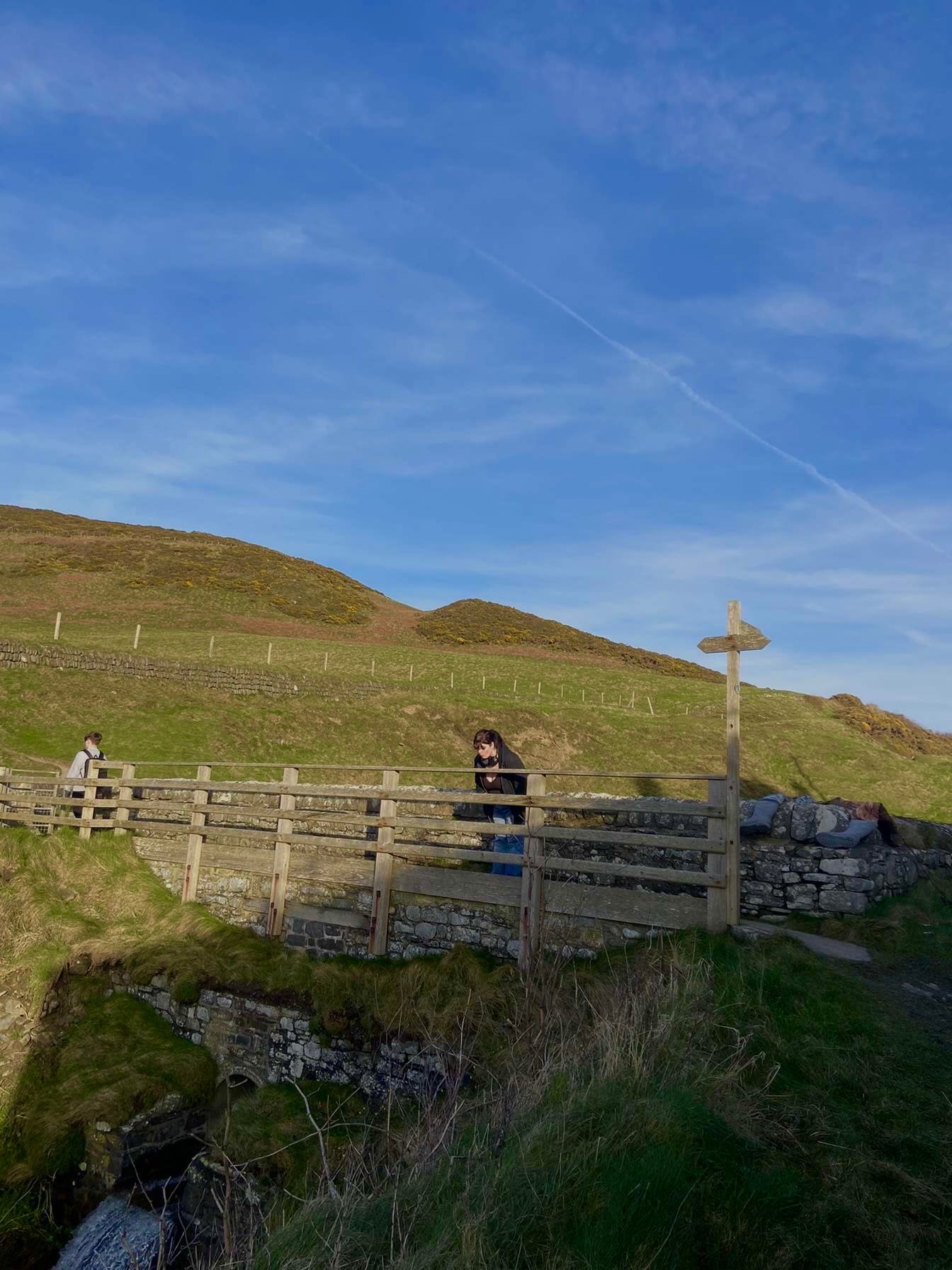 User-uploaded image 1