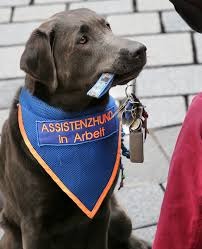 User-uploaded image 1