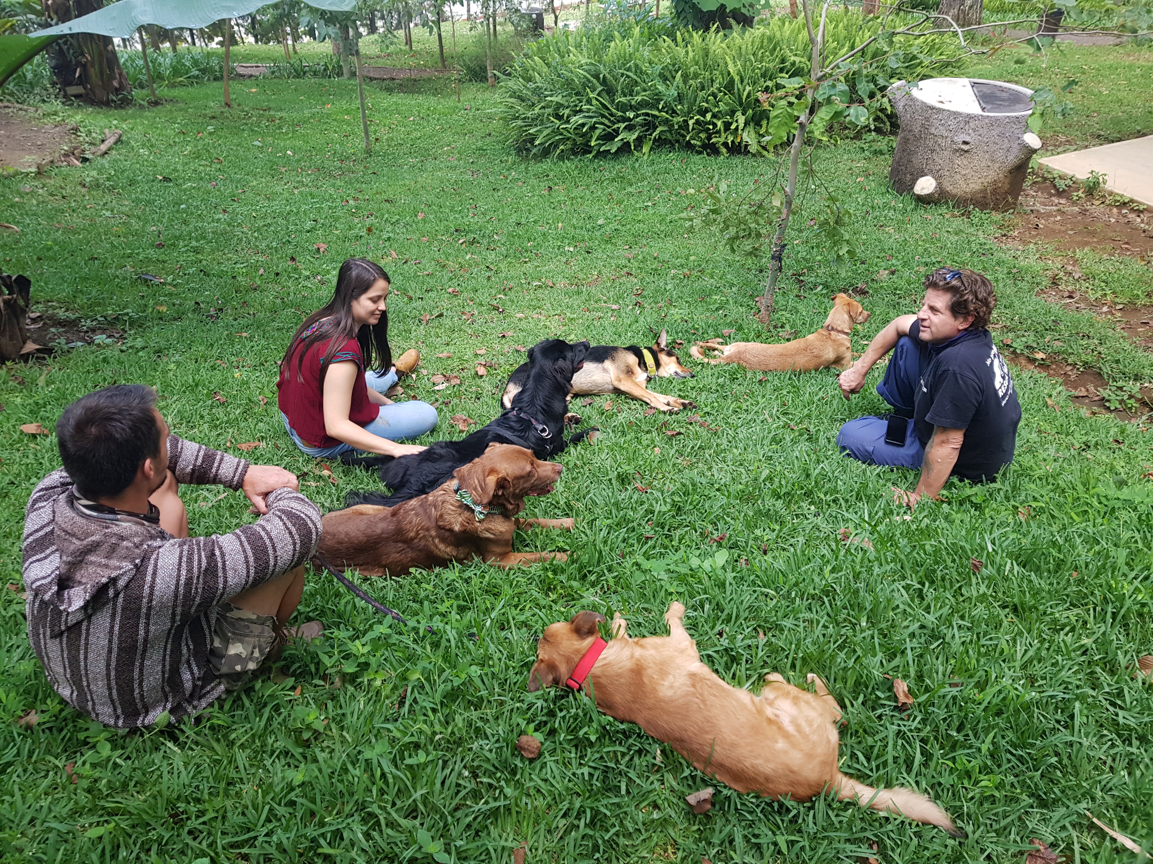 Support Mayan Dog Rescue Foundation's Education Centers campaign photo, 6 of 8