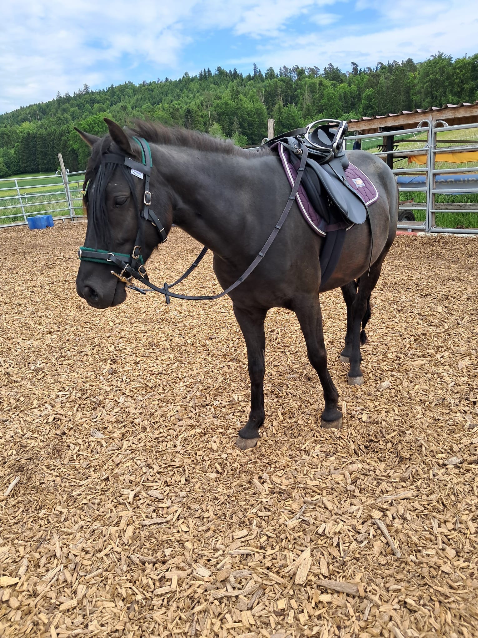 User-uploaded image 1