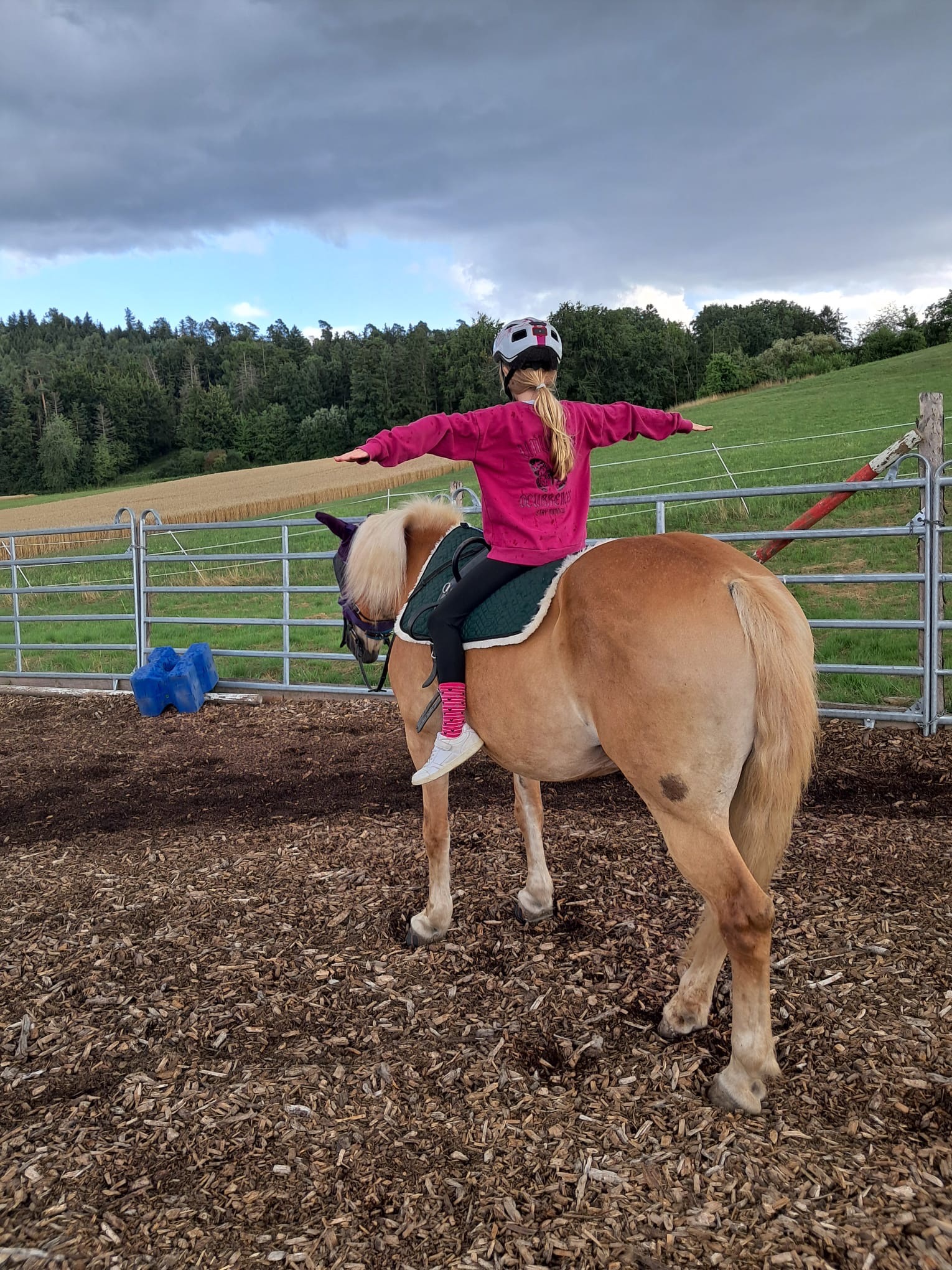 User-uploaded image 3