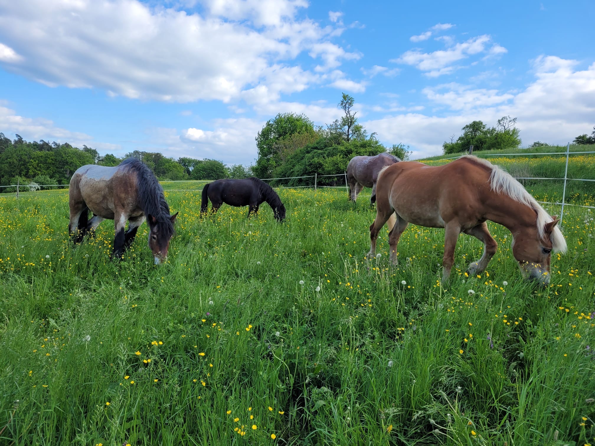 User-uploaded image 4