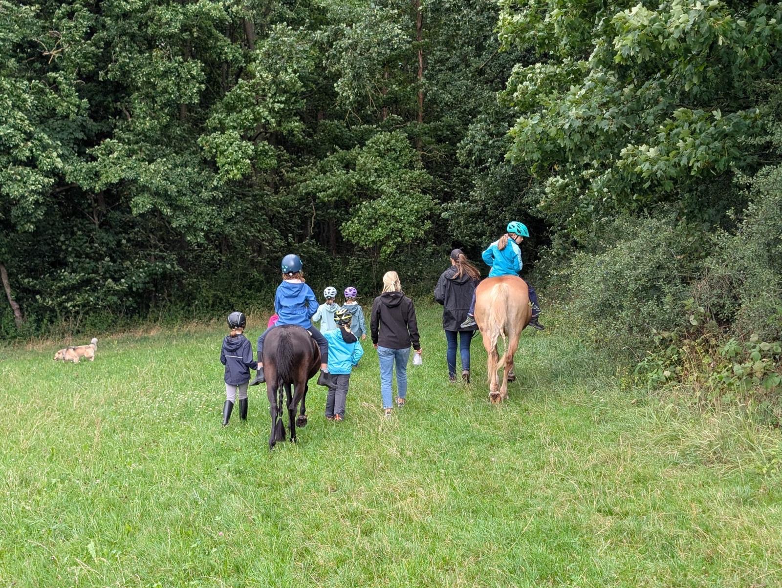 User-uploaded image 2