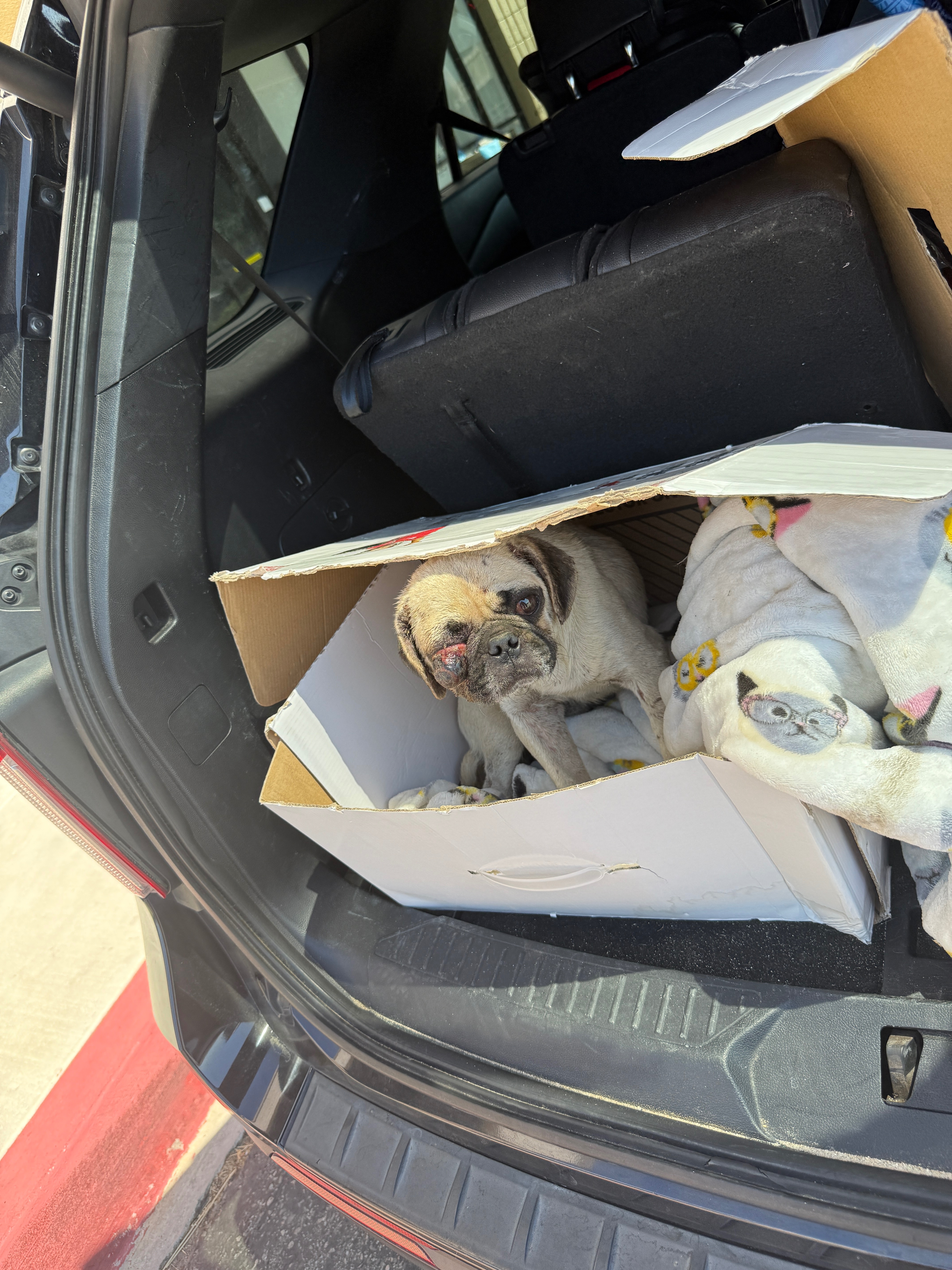 User-uploaded image 1