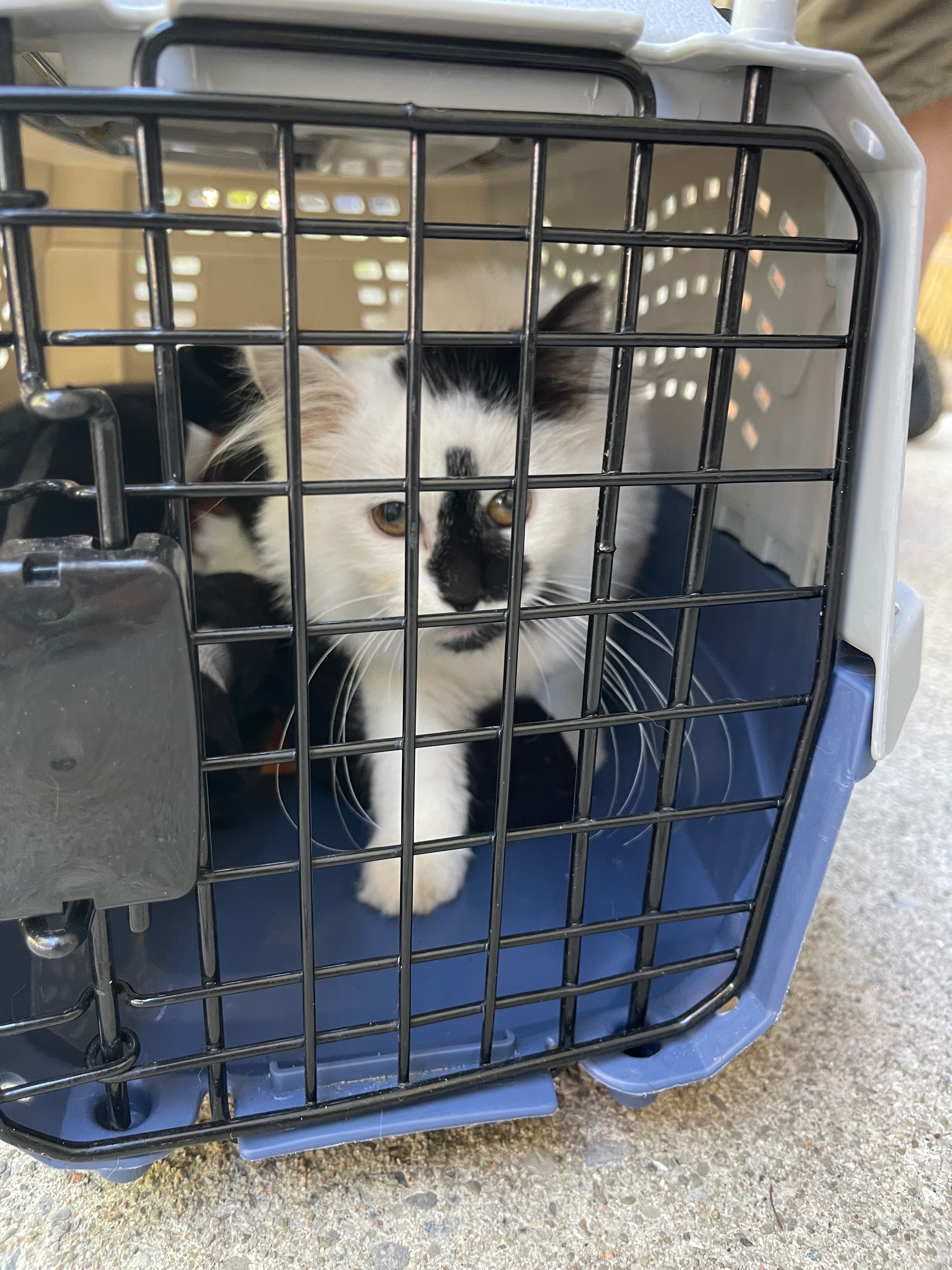 User-uploaded image 3