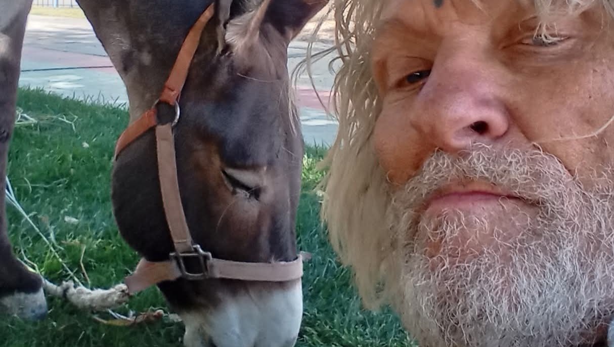 User-uploaded image 1