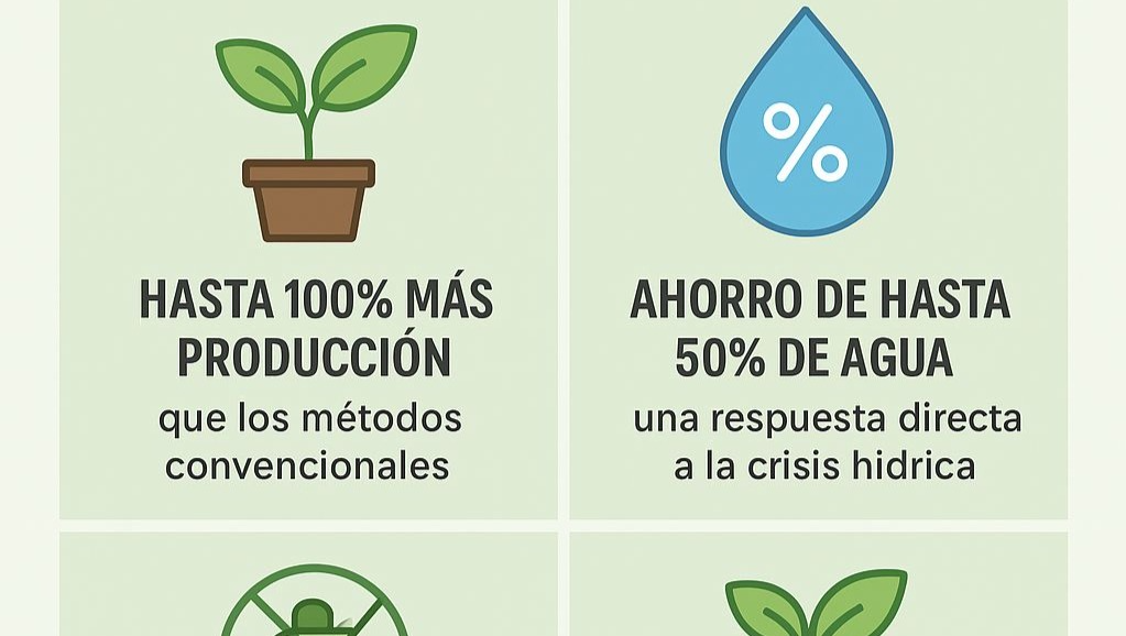 Cultivar más con menos recursos,Cultivo Hidropònico híbrido photo