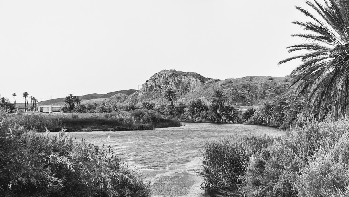 Help Ash and Jeff's Journey to Arizona