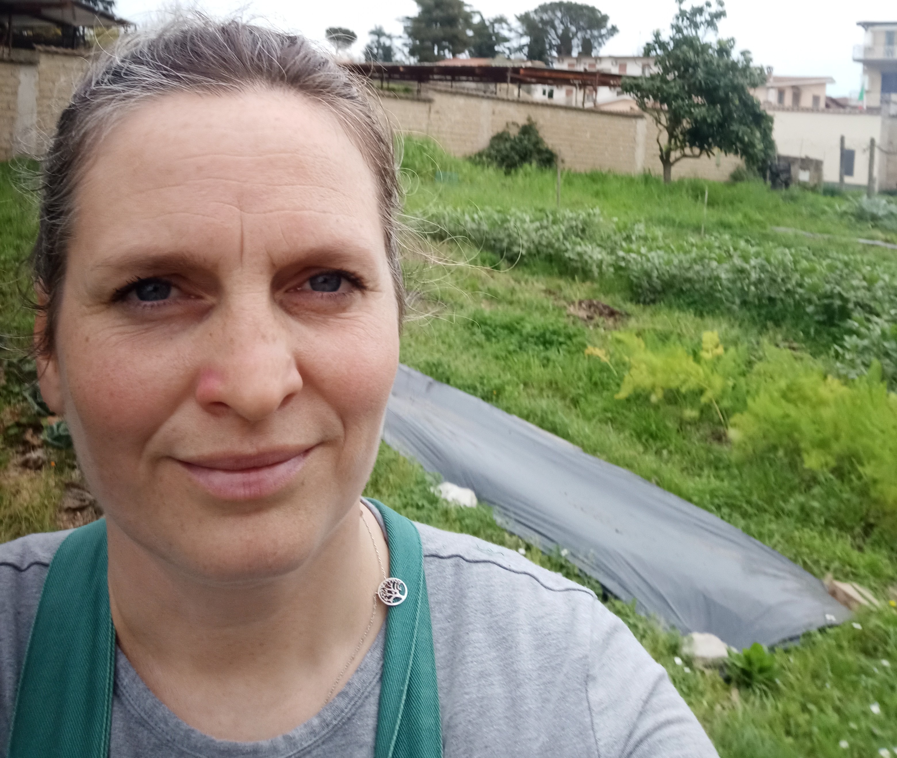 User-uploaded image 1