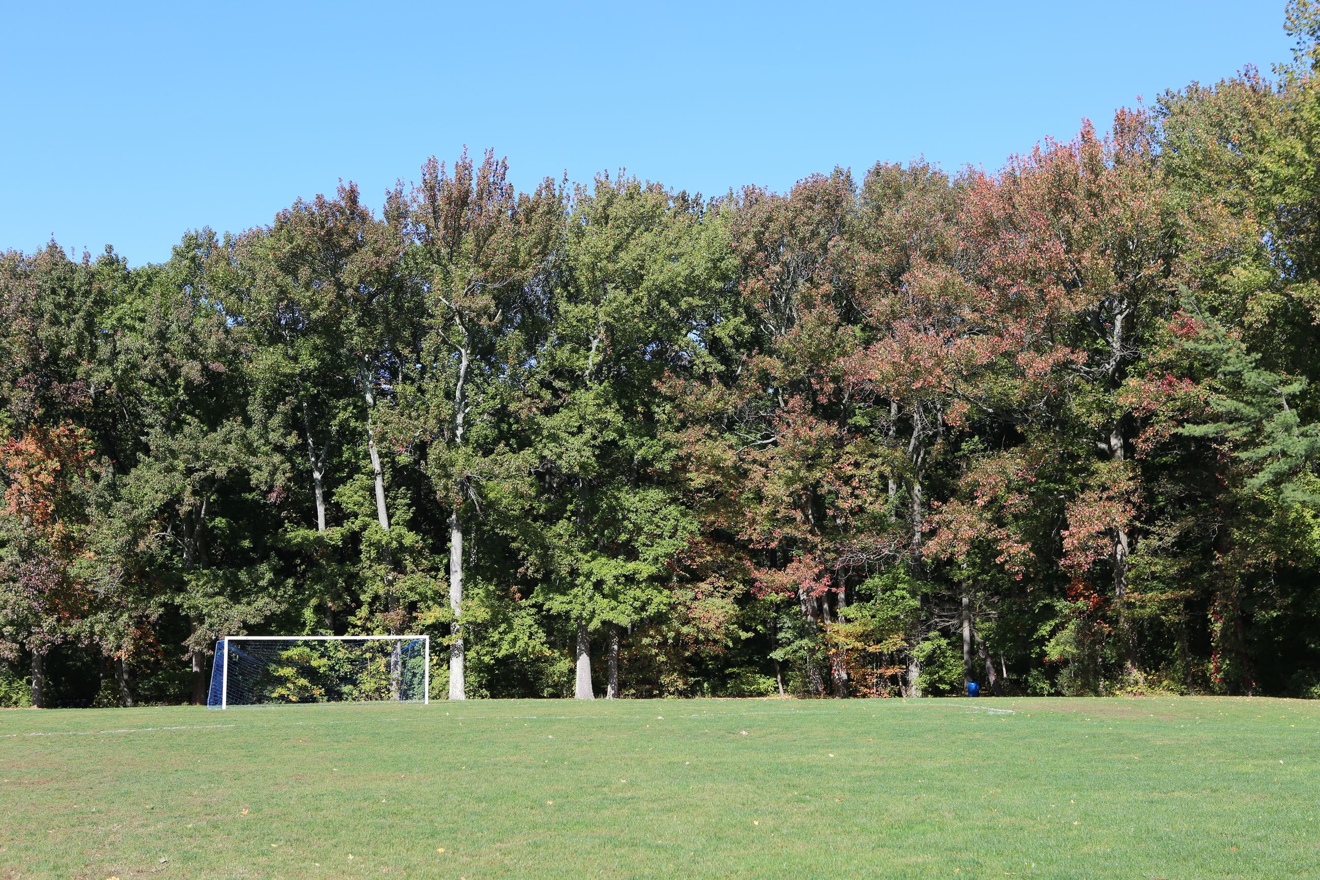 User-uploaded image 1