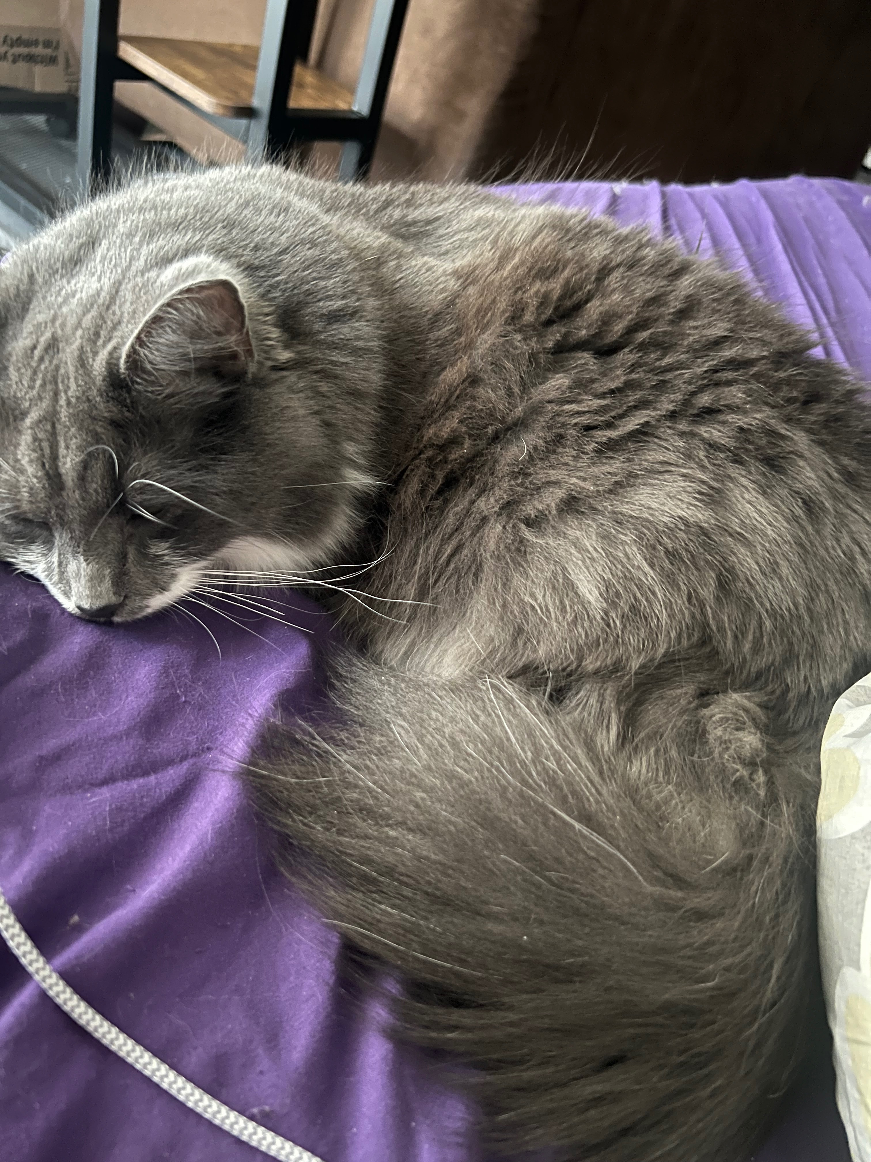 User-uploaded image 1