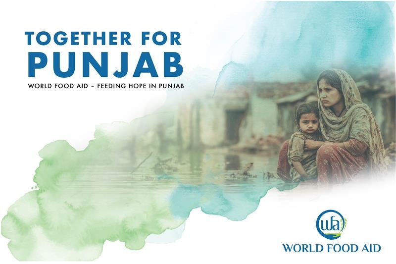 User-uploaded image 1