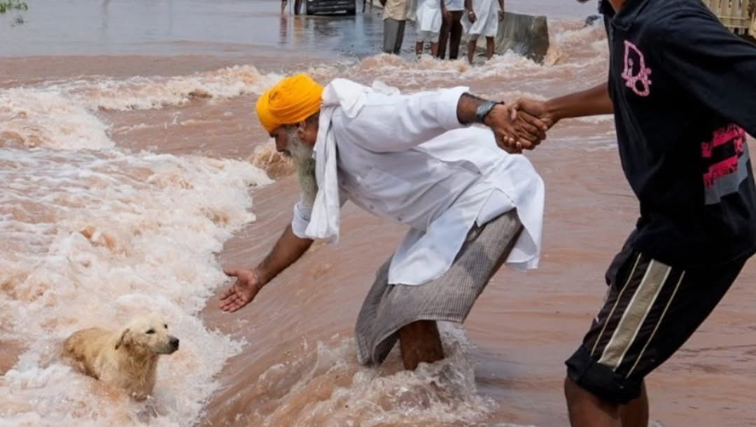 Stand with Panjab: Help Provide Crucial Flood Relief photo