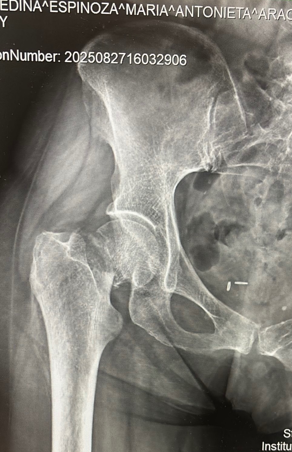 User-uploaded image 1