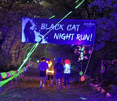 Black Cat Night Run zu Gunsten des Tierschutz in Ostfr. campaign photo, 7 of 7
