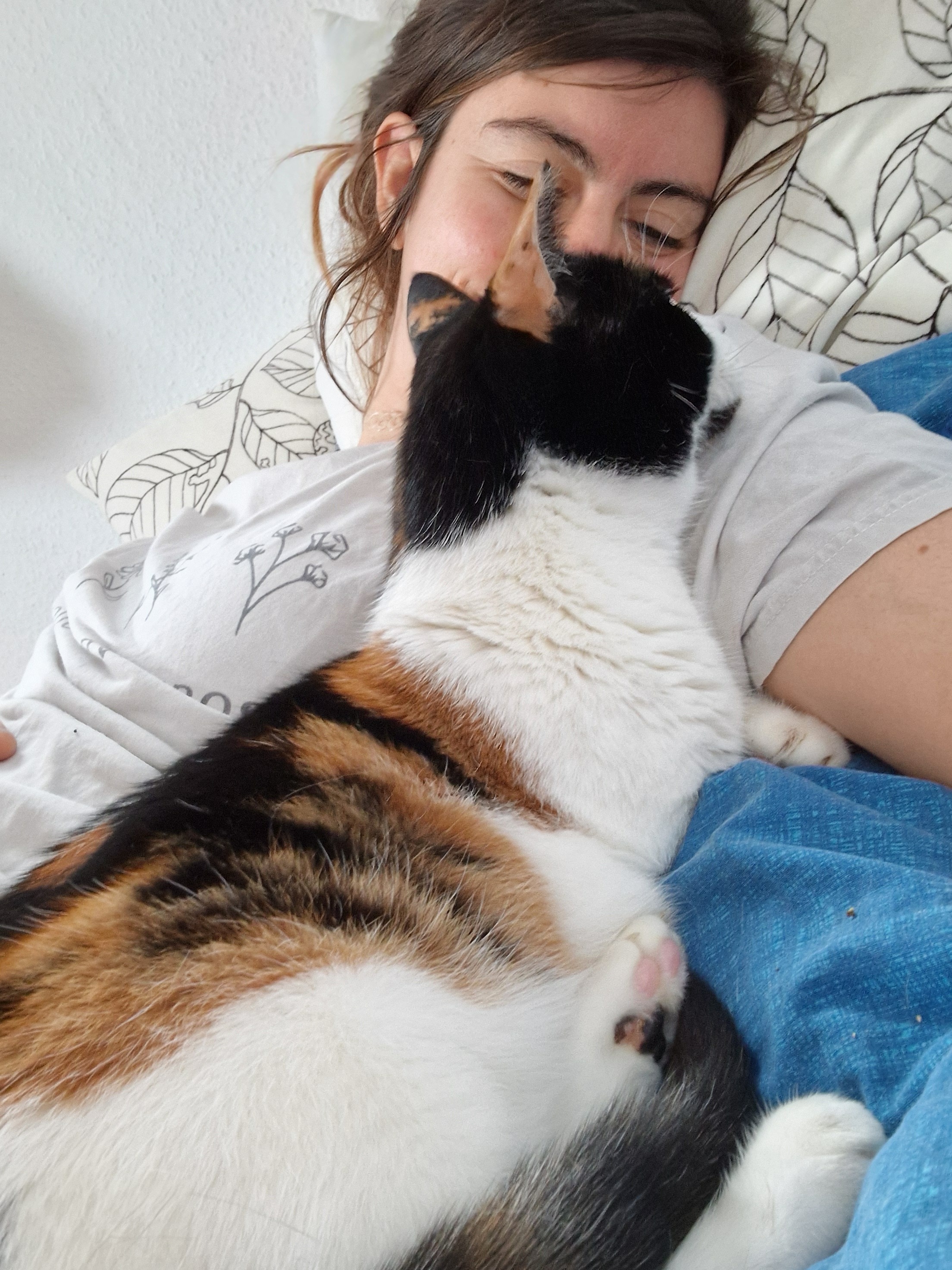 Bitte helft Humpi-mein tapferes Dreibeinchen braucht euch! ❤ campaign photo, 5 of 8