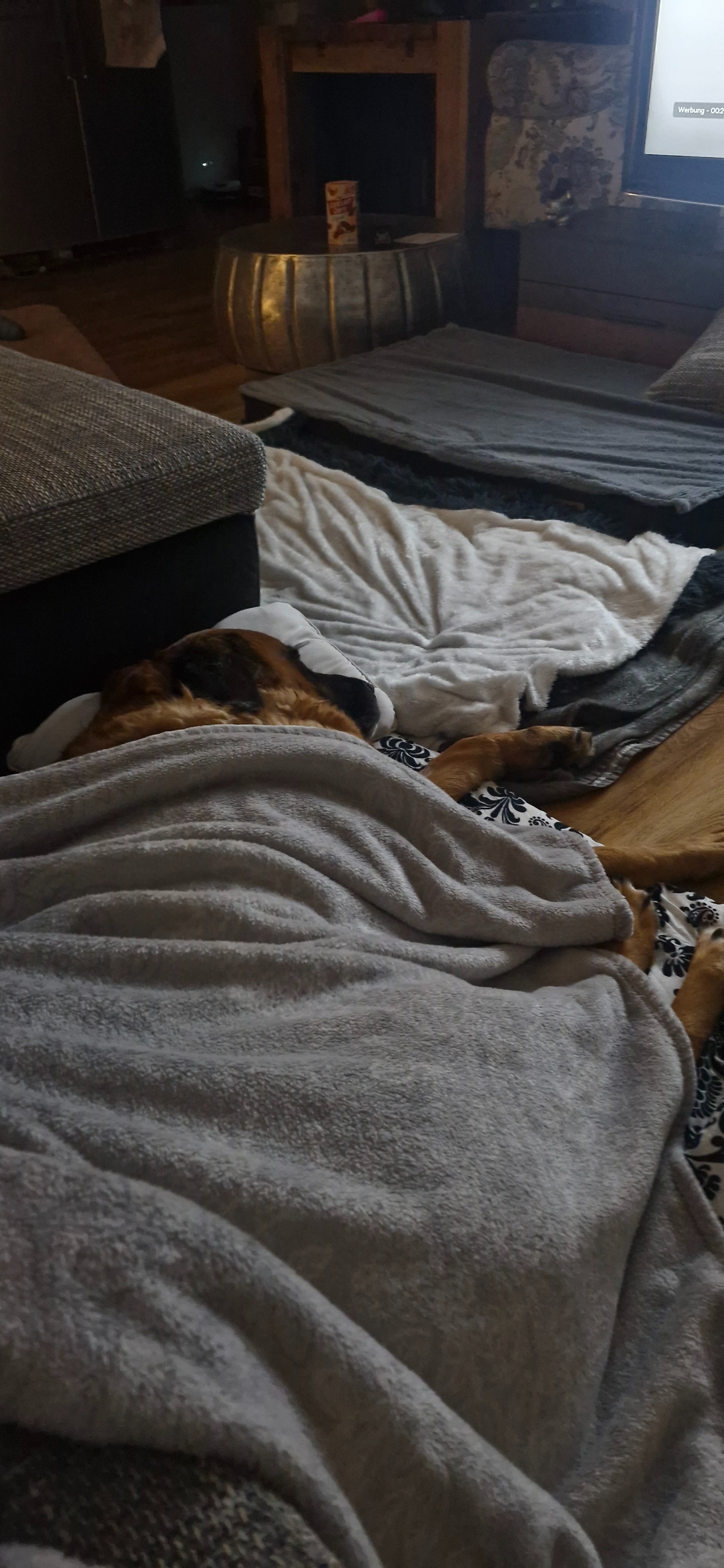 Hilfe für Herrn Bootsmann campaign photo, 4 of 7