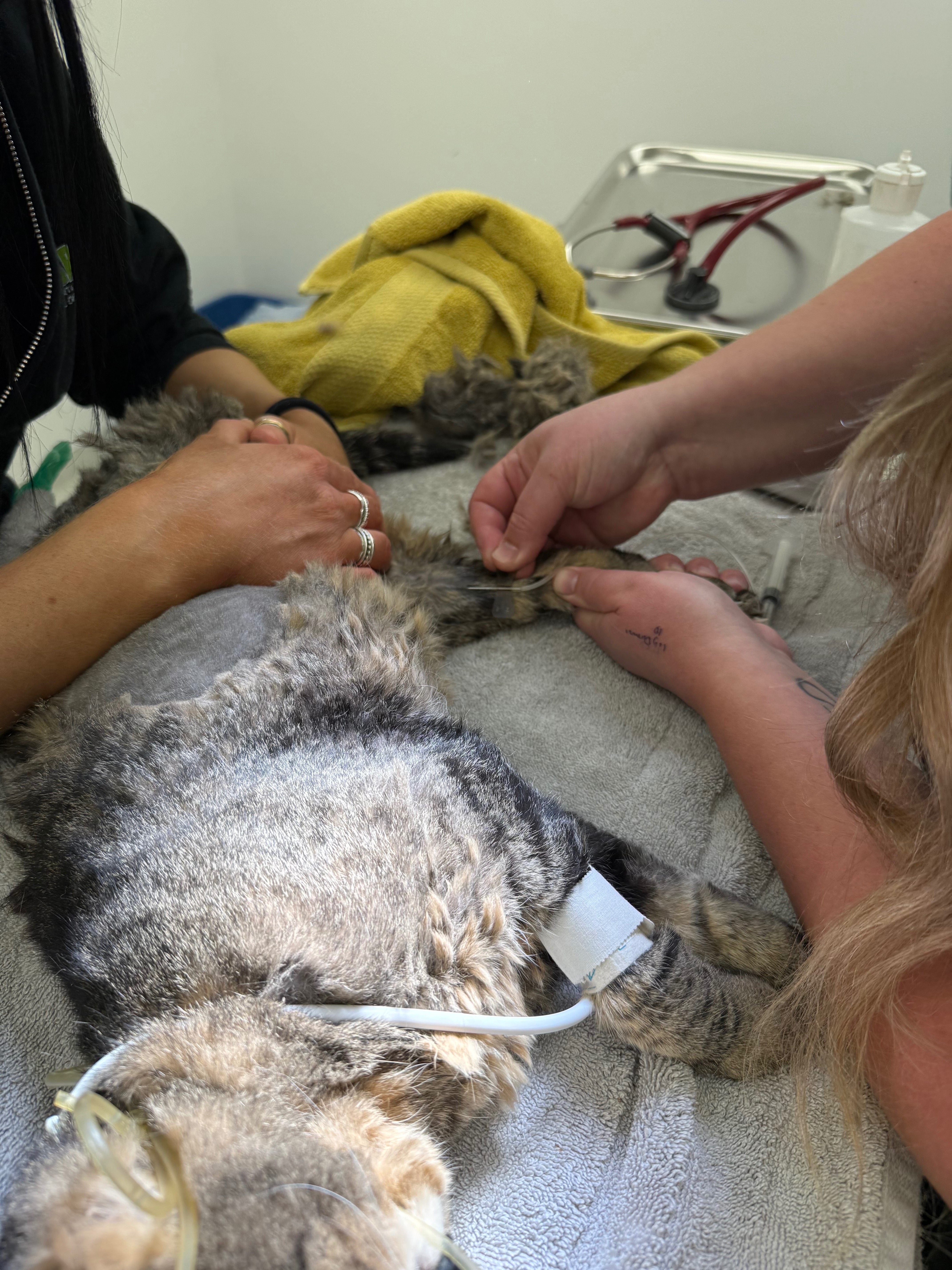 Help Dad Retire in Comfort – Urgent Dental Surgery campaign photo, 5 of 7