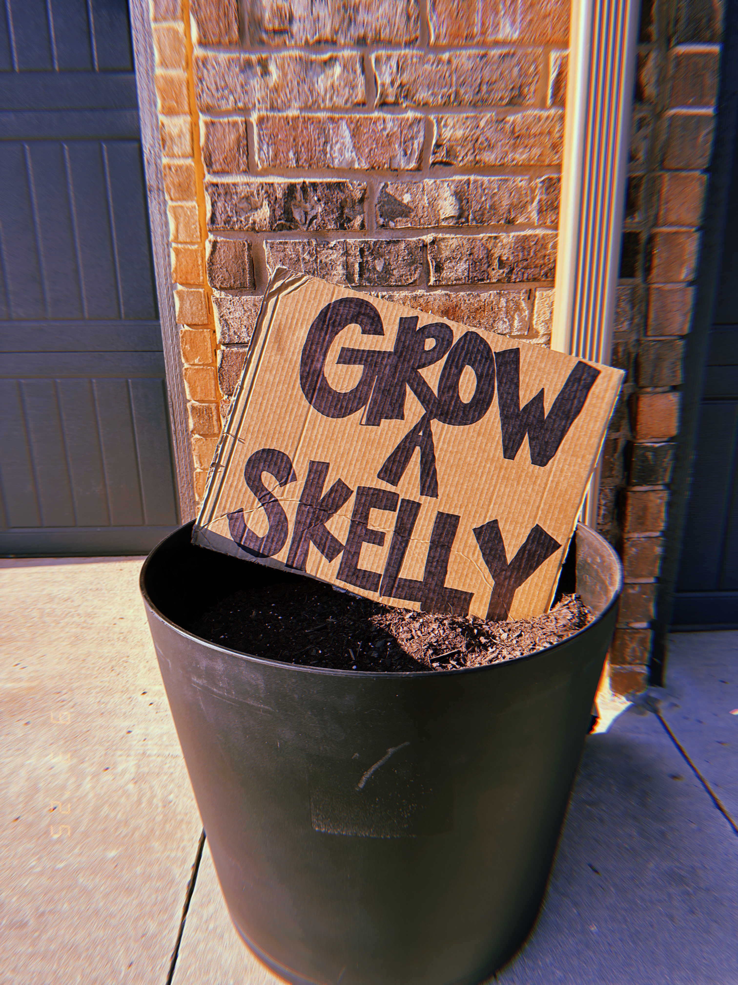 HELP OLIVIA GROW A SKELLY!! campaign photo, 5 of 7