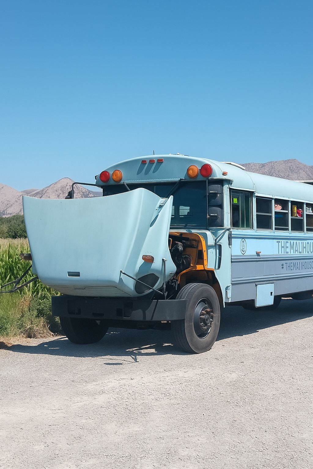 The Will To Live Bus – Keep the Magic Rolling campaign photo, 5 of 6