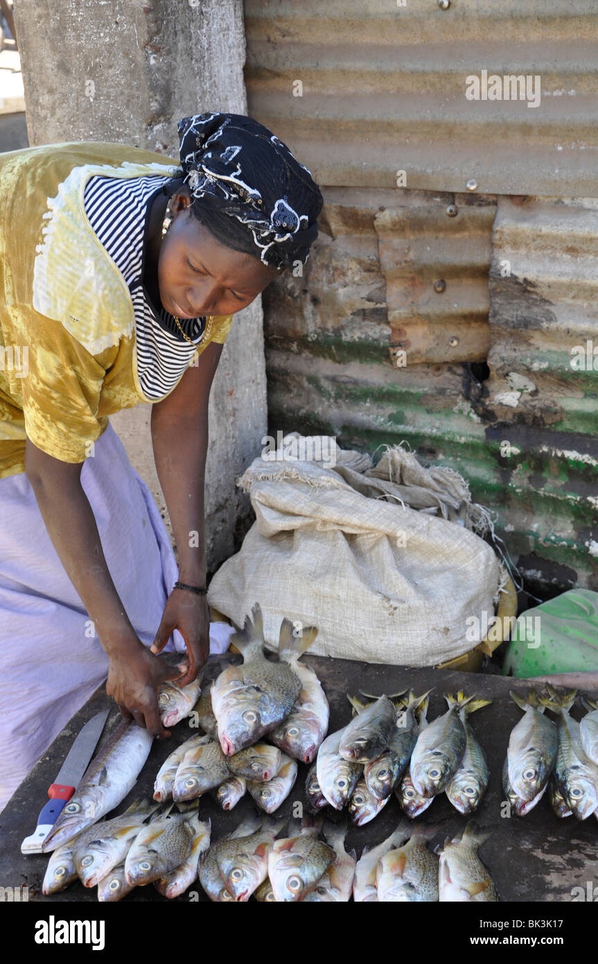 Help send fishing kit to the people of Gambia campaign photo, 2 of 4