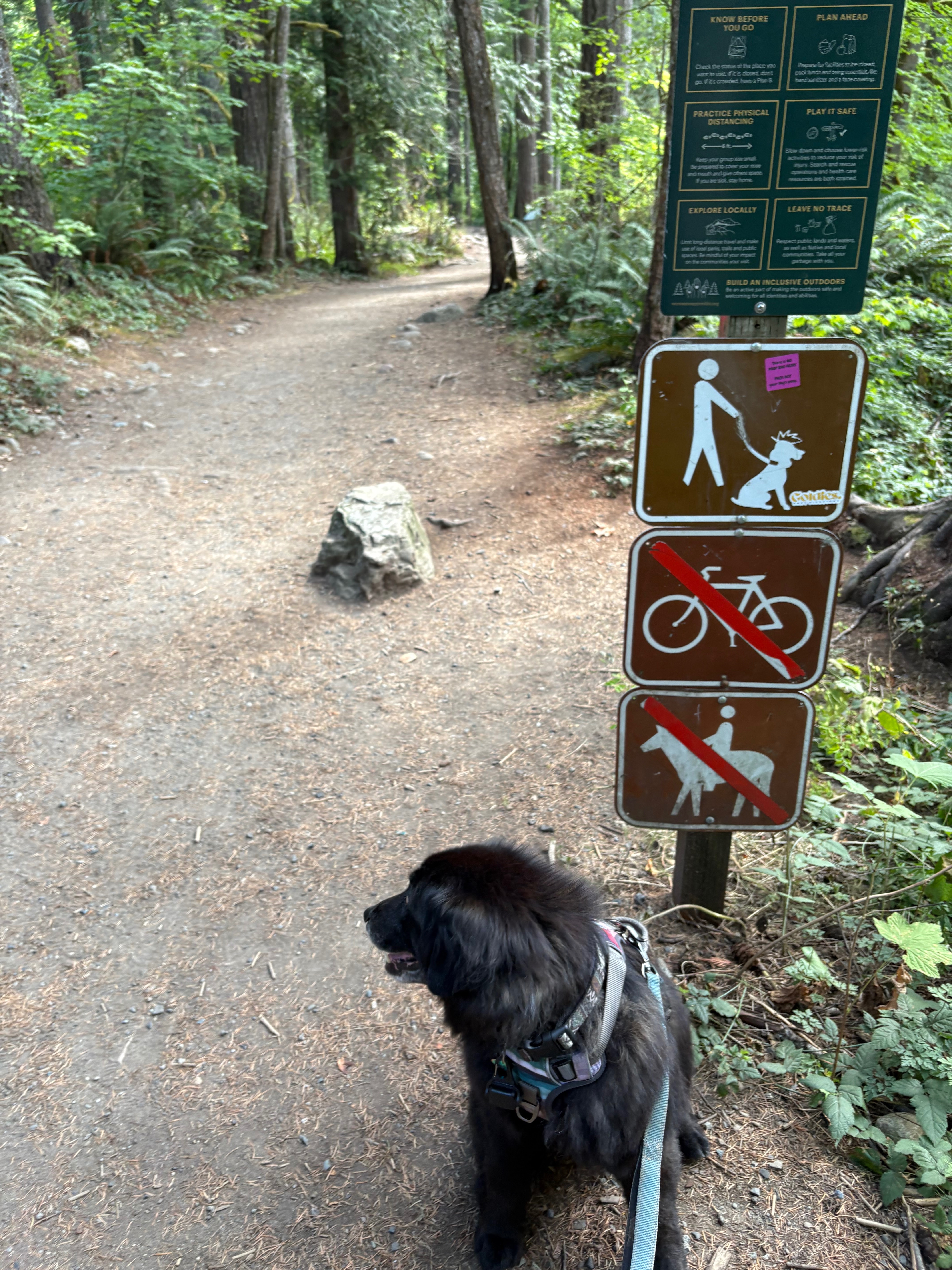 30 Mile Dog Walk for American Cancer Society campaign photo, 4 of 5