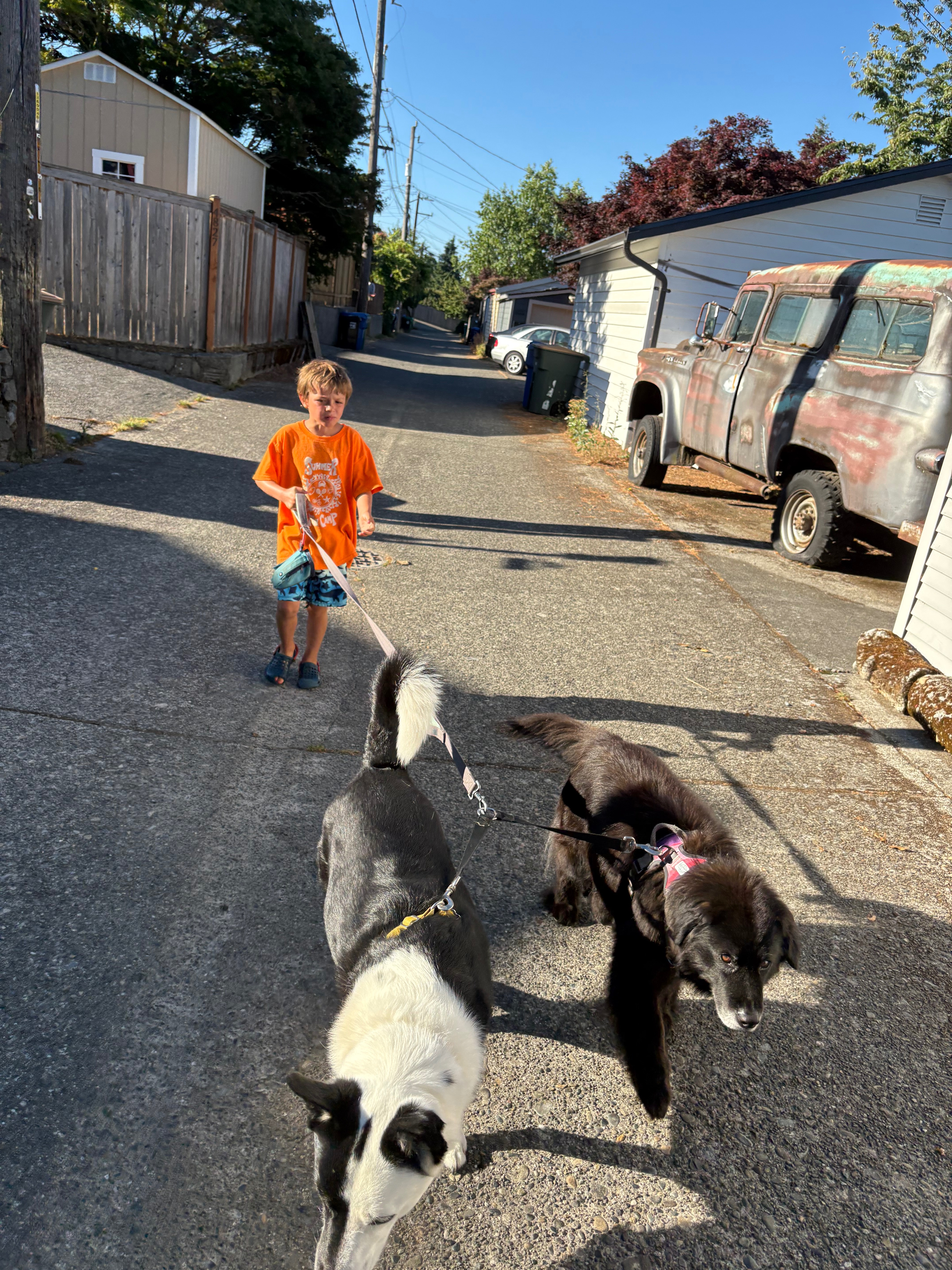 30 Mile Dog Walk for American Cancer Society campaign photo, 2 of 5