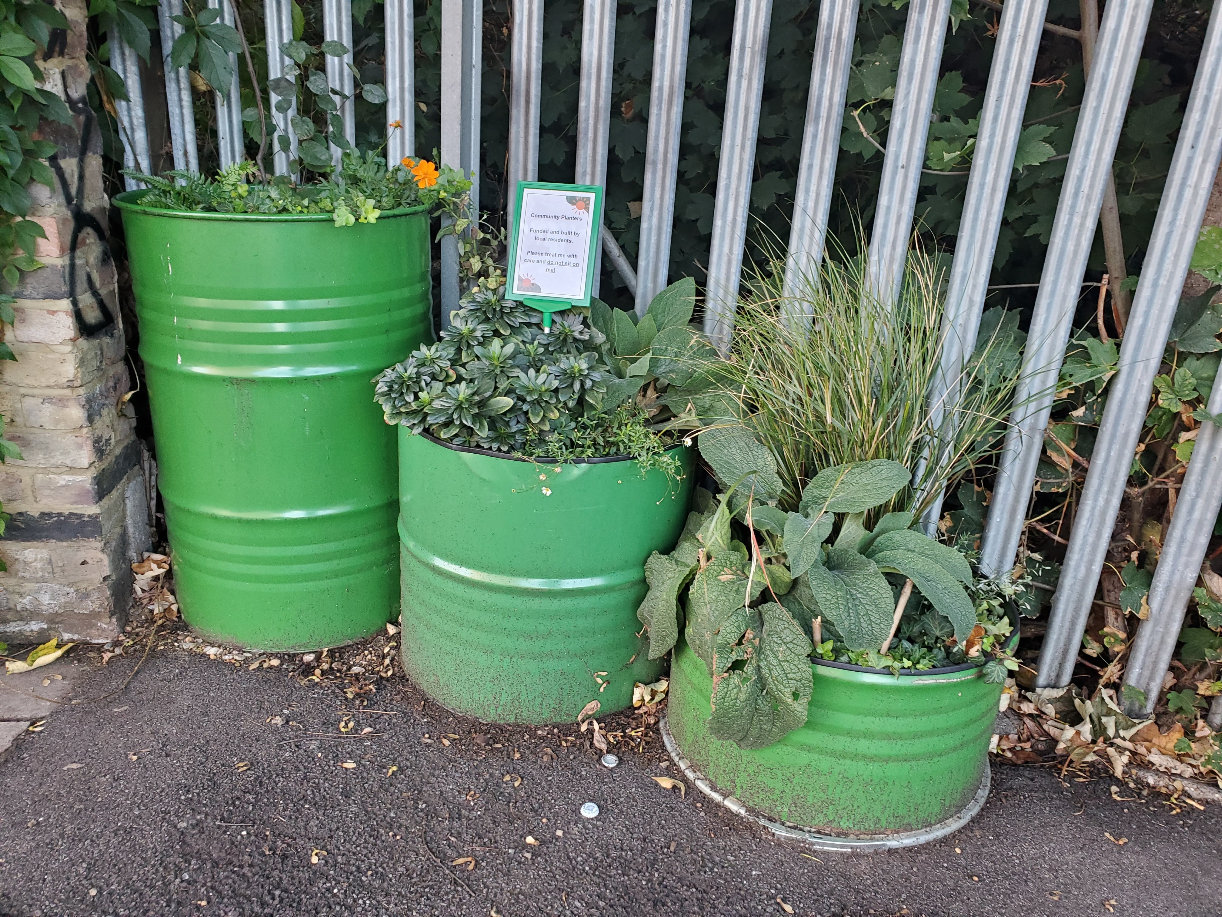 Buy plants and materials for Woodside Gardens planters. campaign photo, 4 of 5