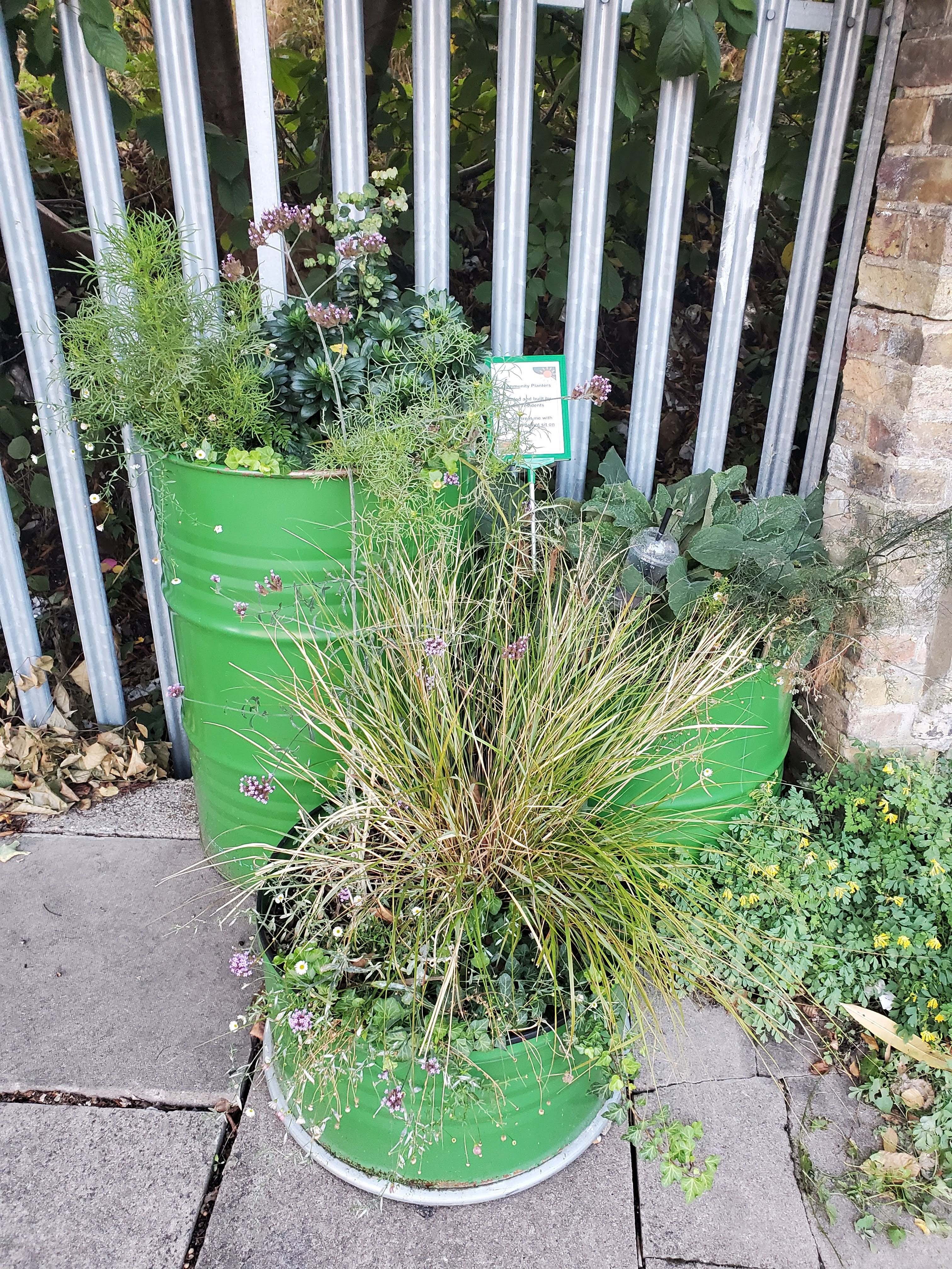 Buy plants and materials for Woodside Gardens planters. campaign photo, 2 of 5