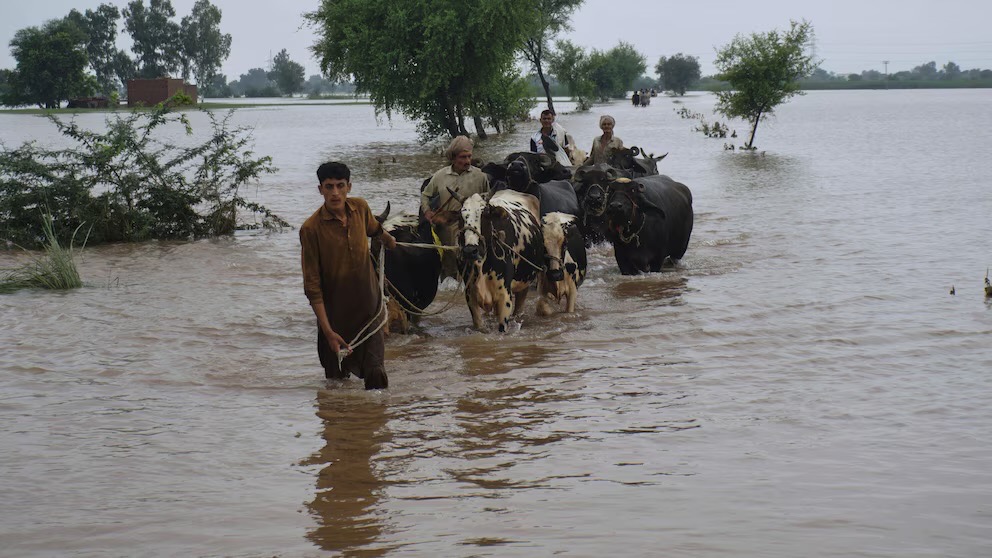 Rebuild houses Punjab floods 2025 campaign photo, 2 of 7