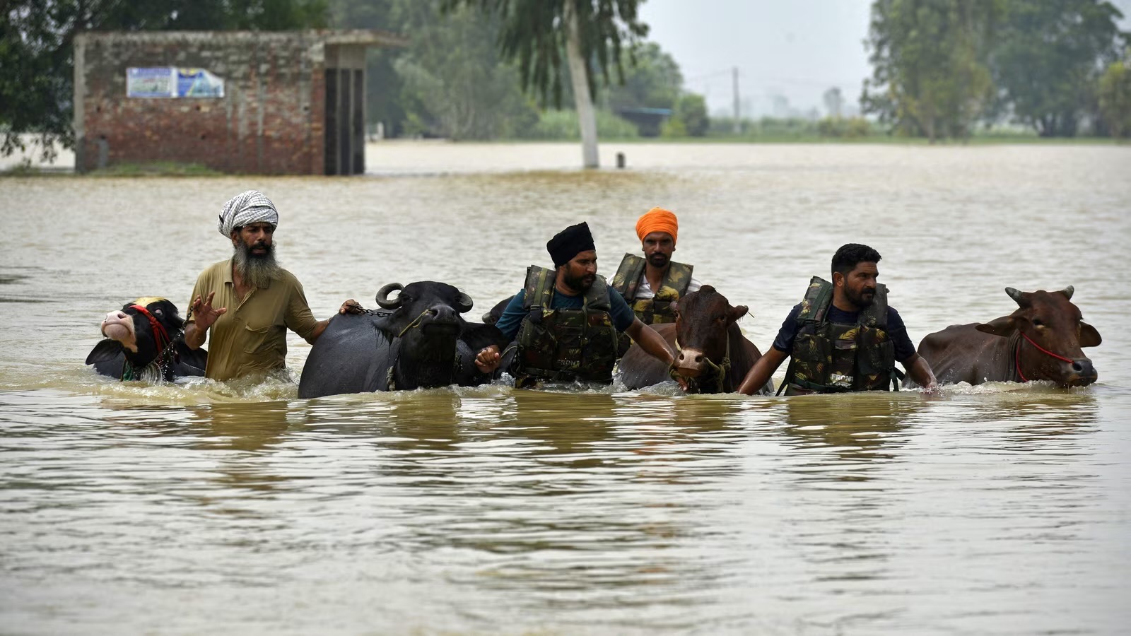Rebuild houses Punjab floods 2025 campaign photo, 4 of 7