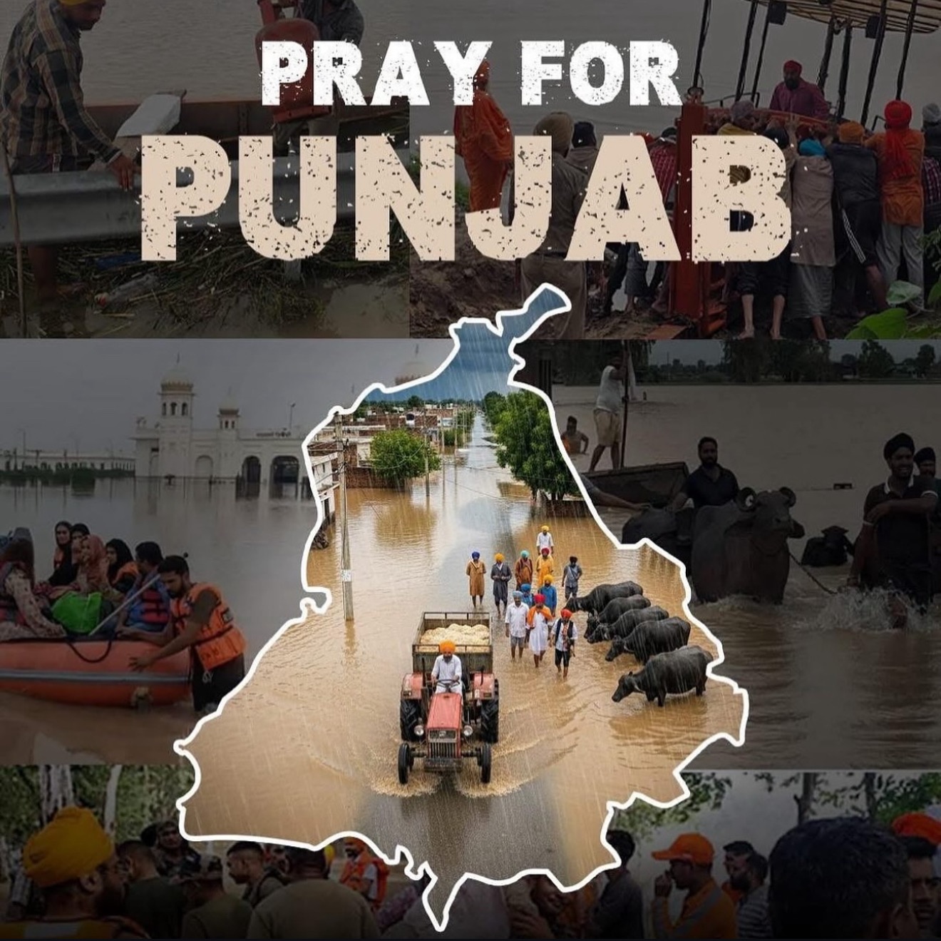 PUNJAB FLOOD RELIEF AID campaign photo, 2 of 5