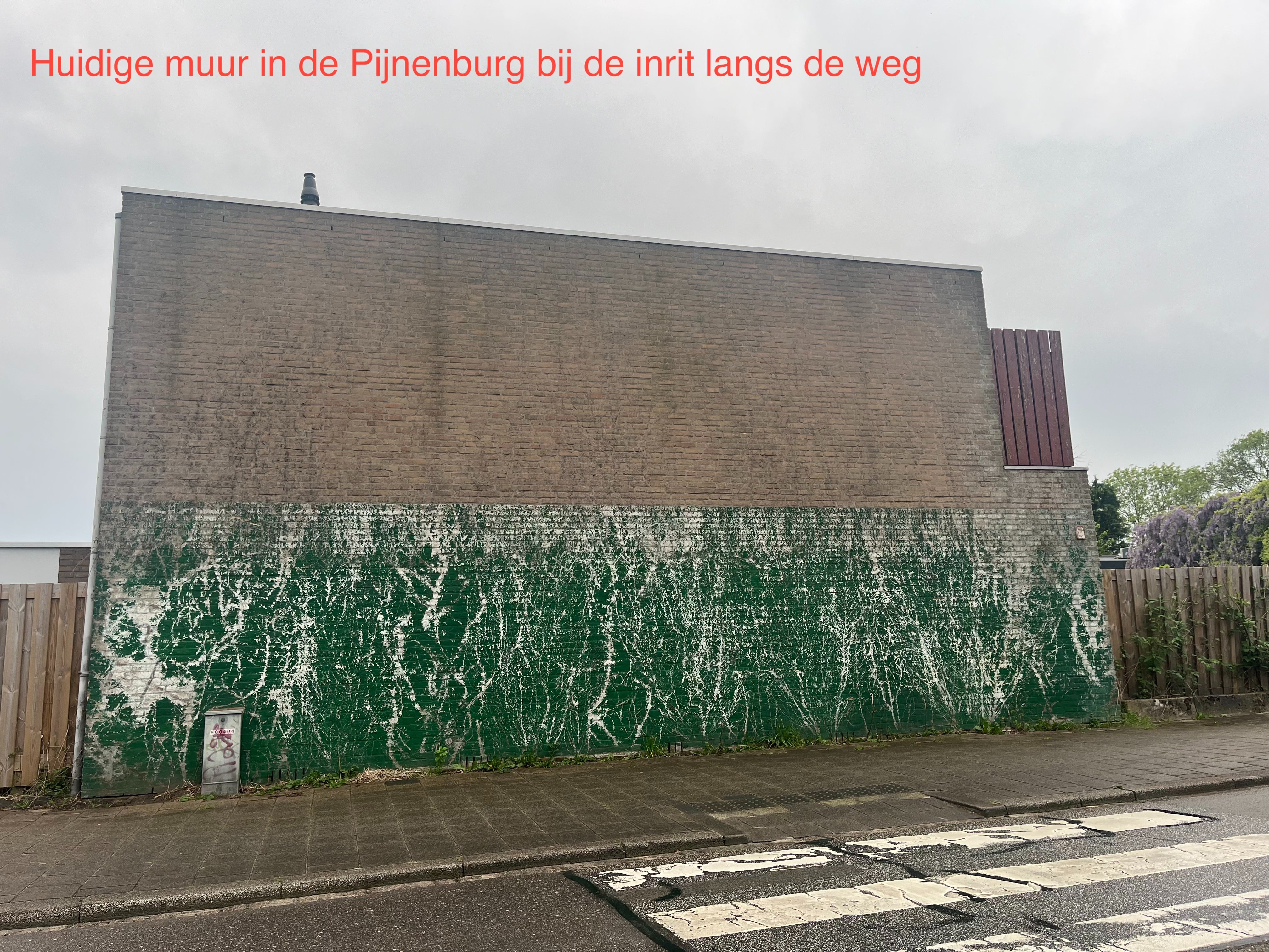 Door de gebruiker geüploade foto 1