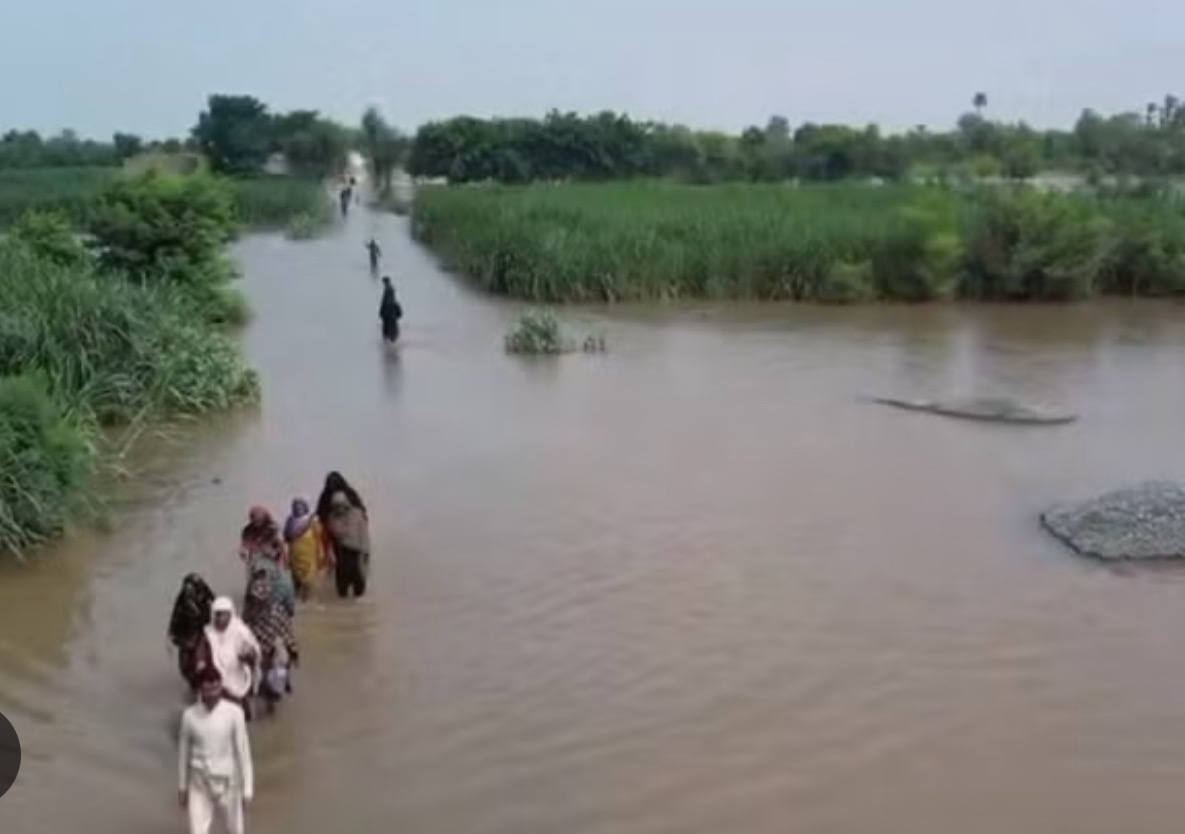 Punjab flood appeal campaign photo, 2 of 4